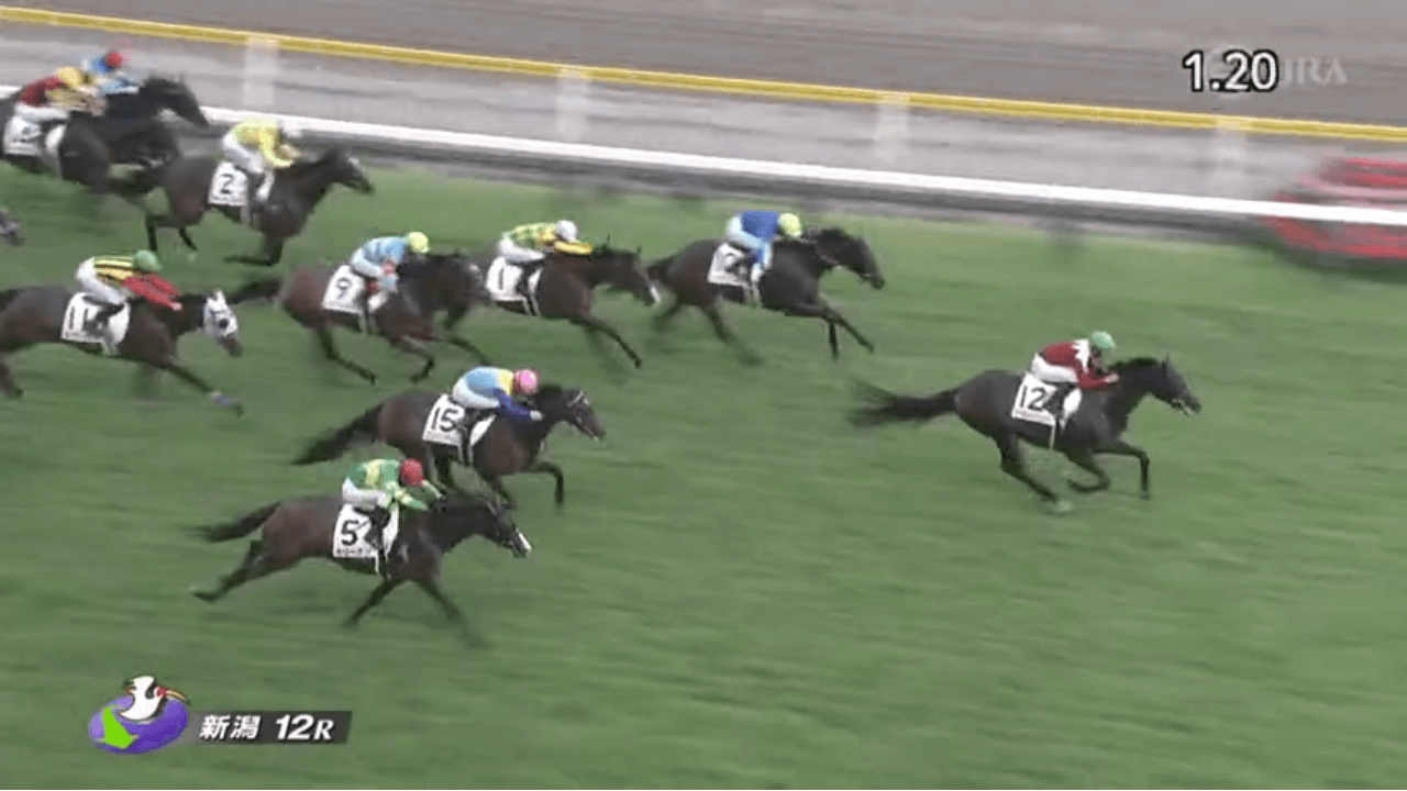 ガーネットウインク（エポカドーロ産駒）が後方から直線で突き抜け2勝目