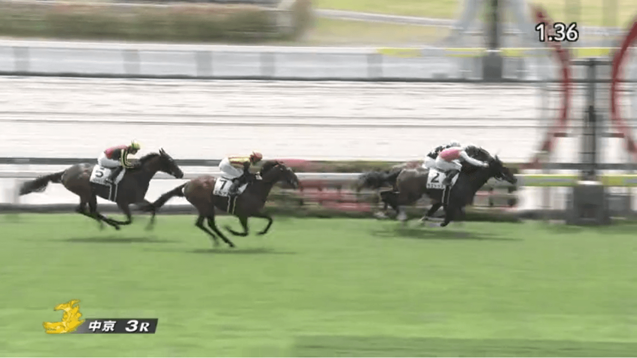 ラエトゥス（母アミークス　母の父オルフェーヴル）が直線での激しい競り合いを制して新馬勝ち