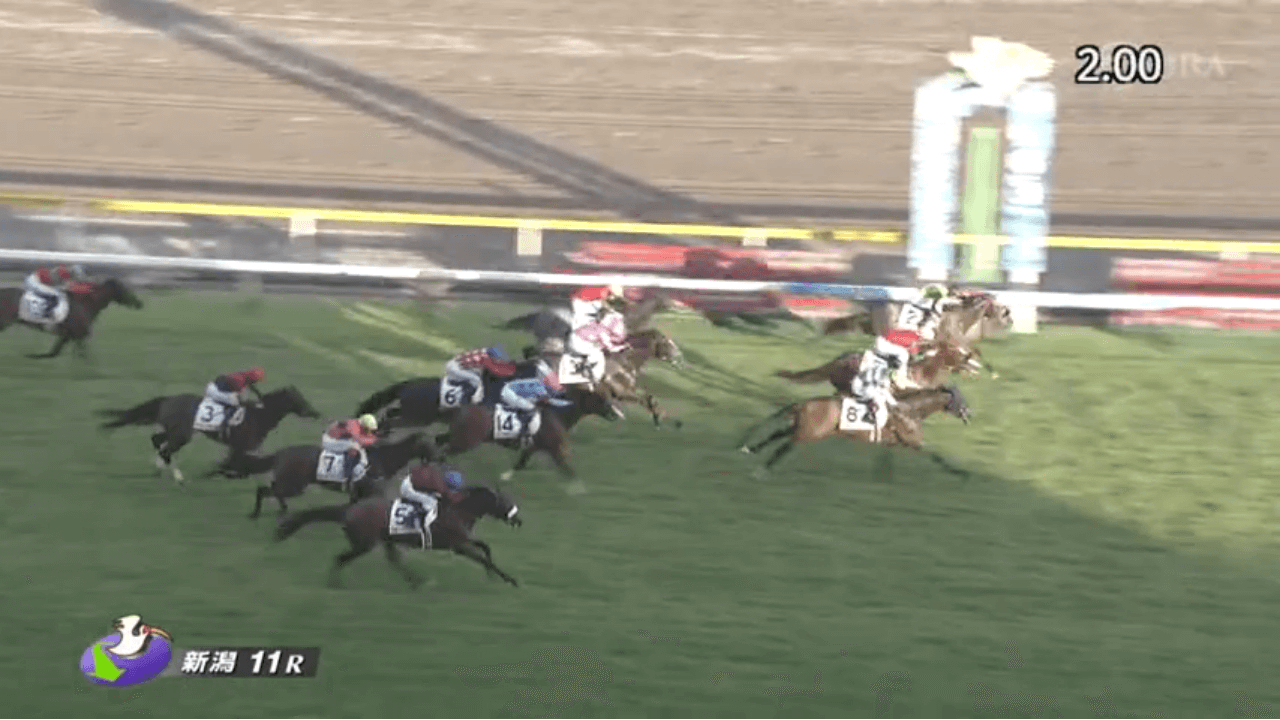 マカナ（ゴールドシップ産駒）が最内から際どく差し切り待望の未勝利脱出