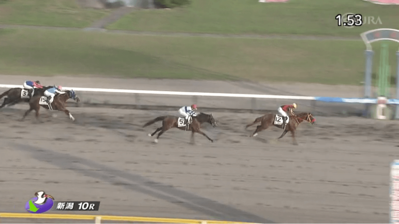 カーフキック（母ジョンブドール　母母父メジロマックイーン ）が直線抜け出し安堵の初勝利