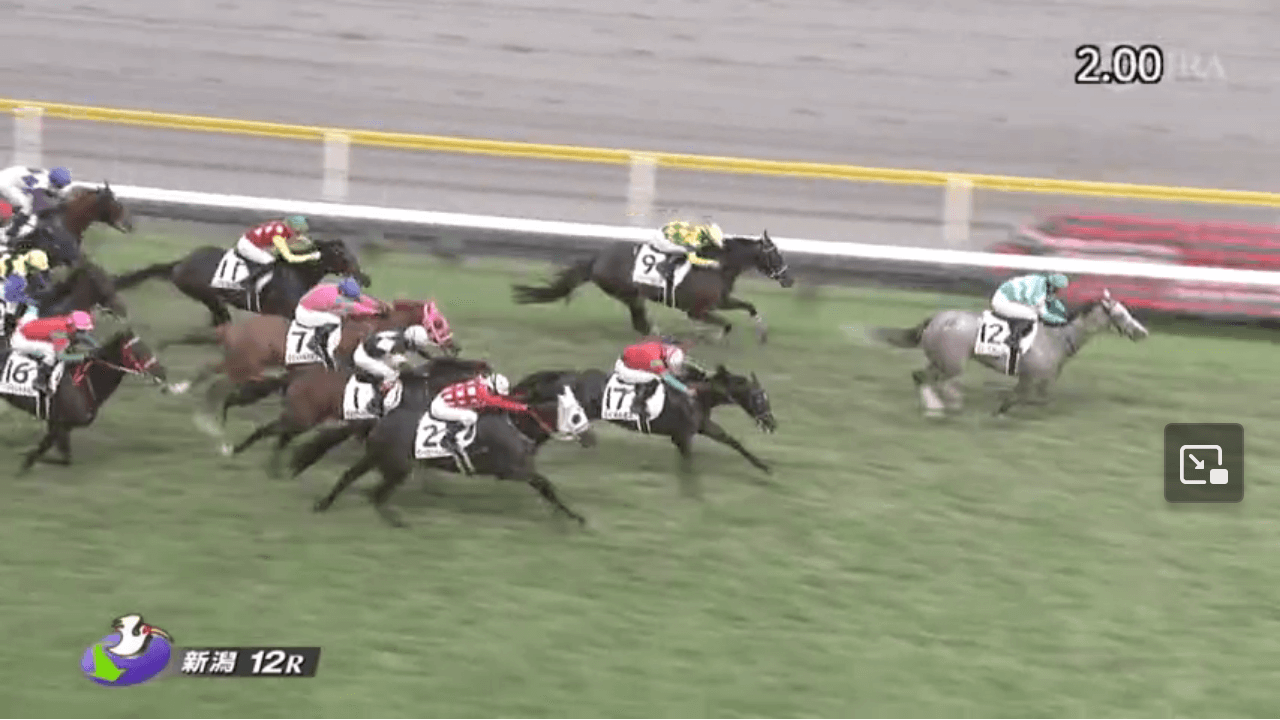 スイートオレンジ（ゴールドシップ産駒）がゴール前抜け出し嬉しい初勝利