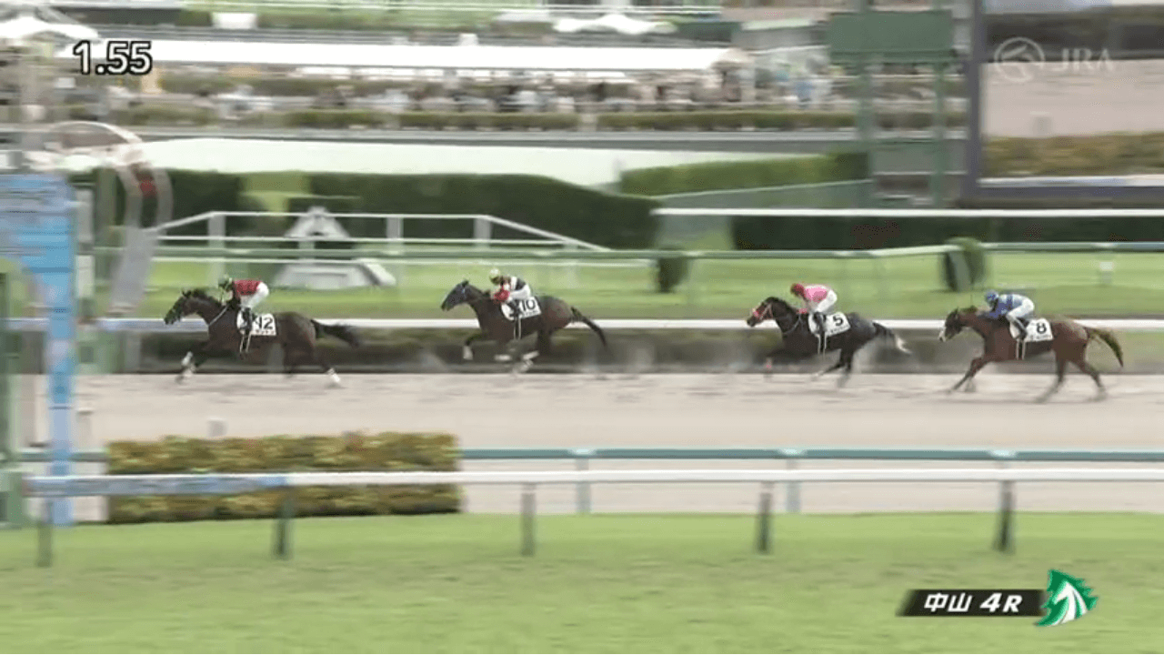 ケントン（母エーティーロゼッタ　母母父メジロマックイーン）がゴール前抜け出し新馬勝ち