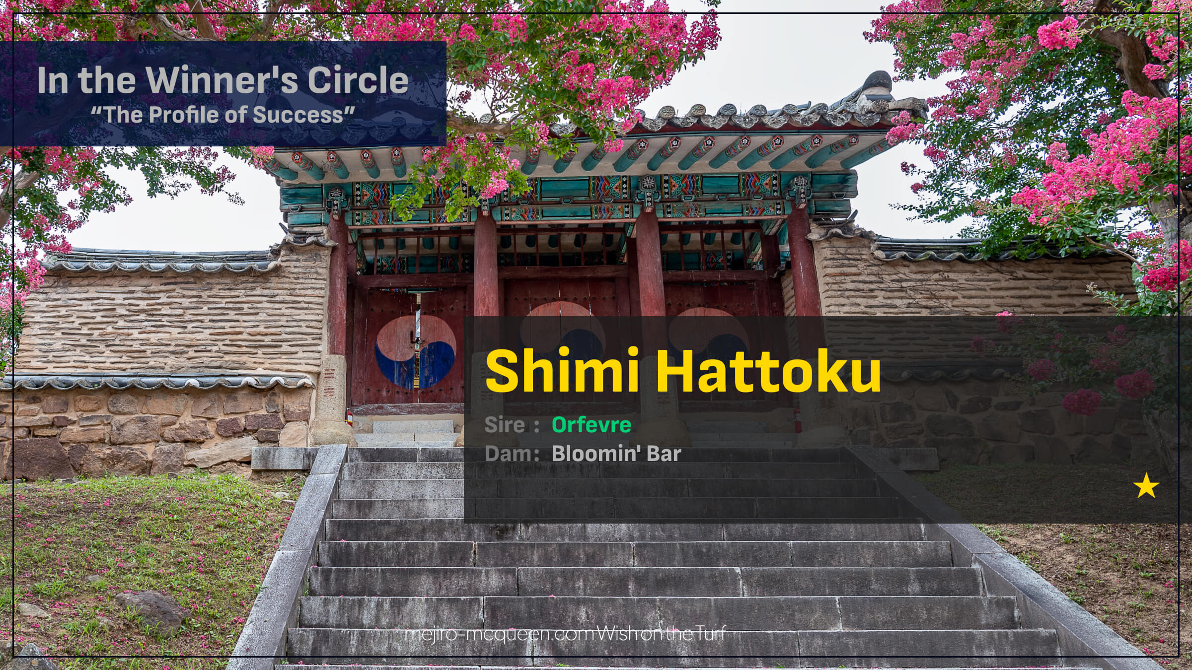 シーミハットク（オルフェーヴル産駒）が途中からハナ奪い直線押し切って初勝利