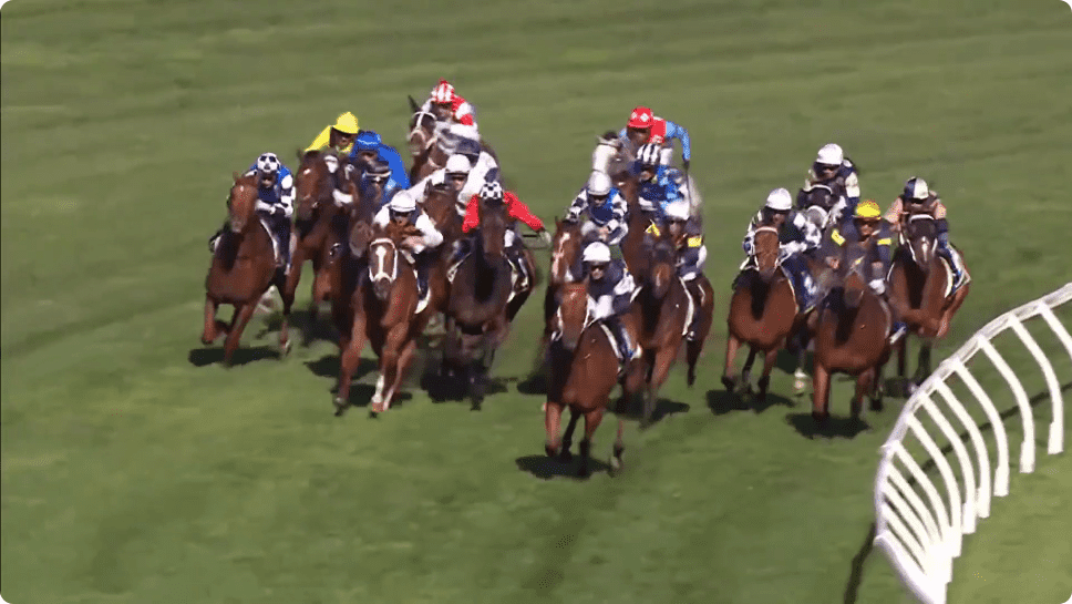 ゴールデンスナップの海外初戦は馬場にも苦しみ、ほろ苦い結果に（コーフィールドカップ結果）
