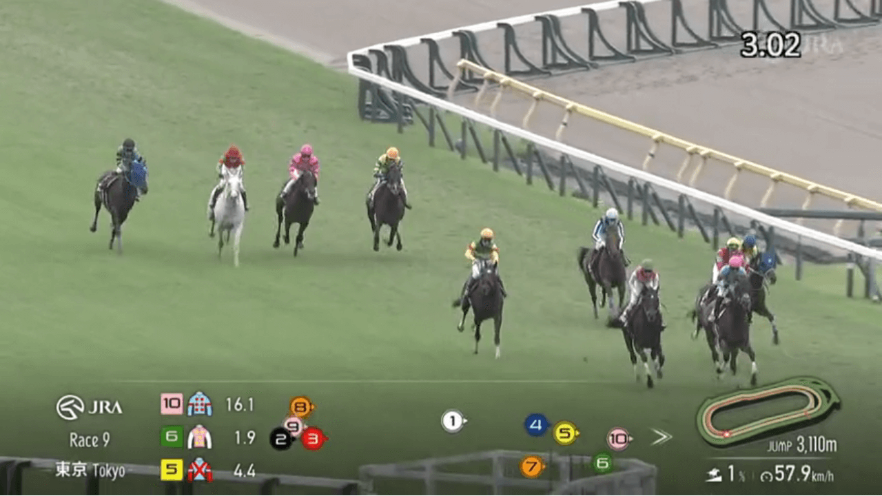 マイネルメサイアは最後まで脚を伸ばすも（東京ハイジャンプ結果）