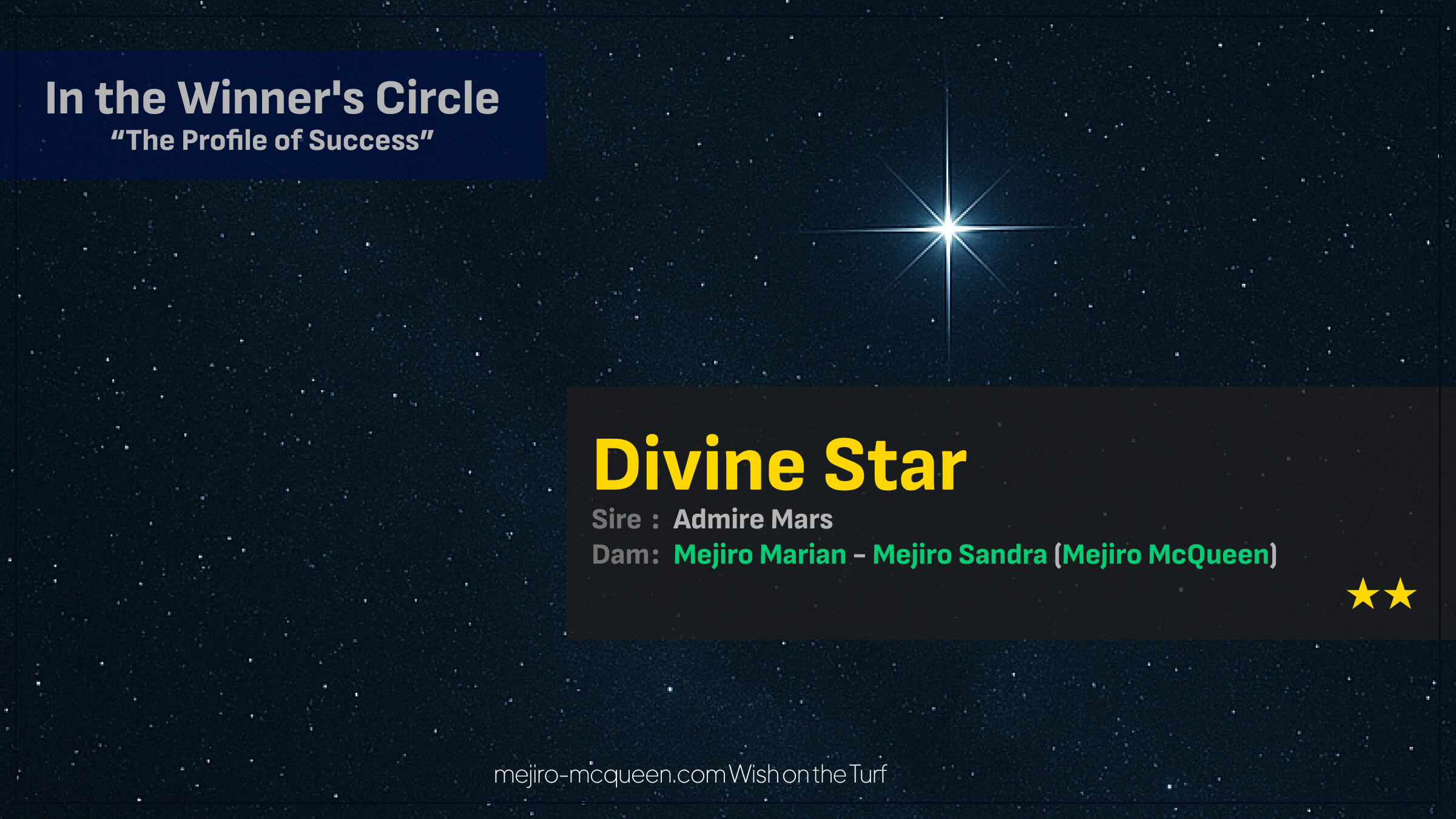 ディヴァインスター（母メジロマリアン　母母父メジロマックイーン）がお待たせしましたの2勝目