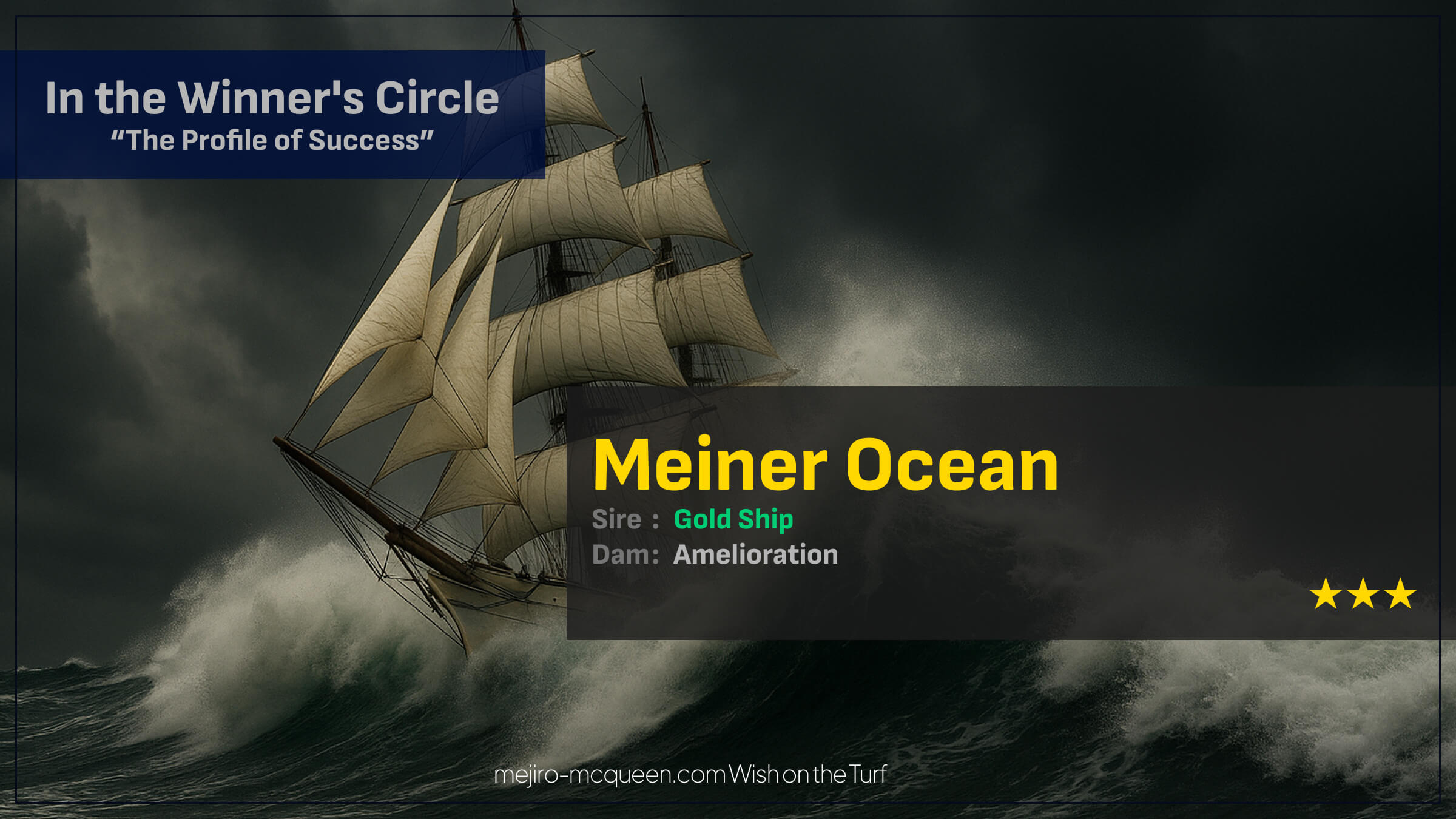 マイネルオーシャン（ゴールドシップ産駒）が最内を力強く抜け出し3勝目