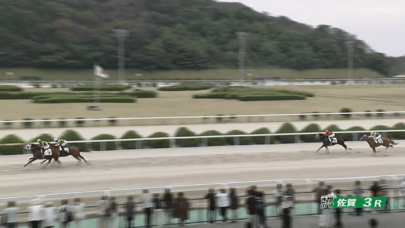 ソレイケギンチャン(ギンザグリングラス産駒)が地方転入初戦を制して嬉しい初勝利