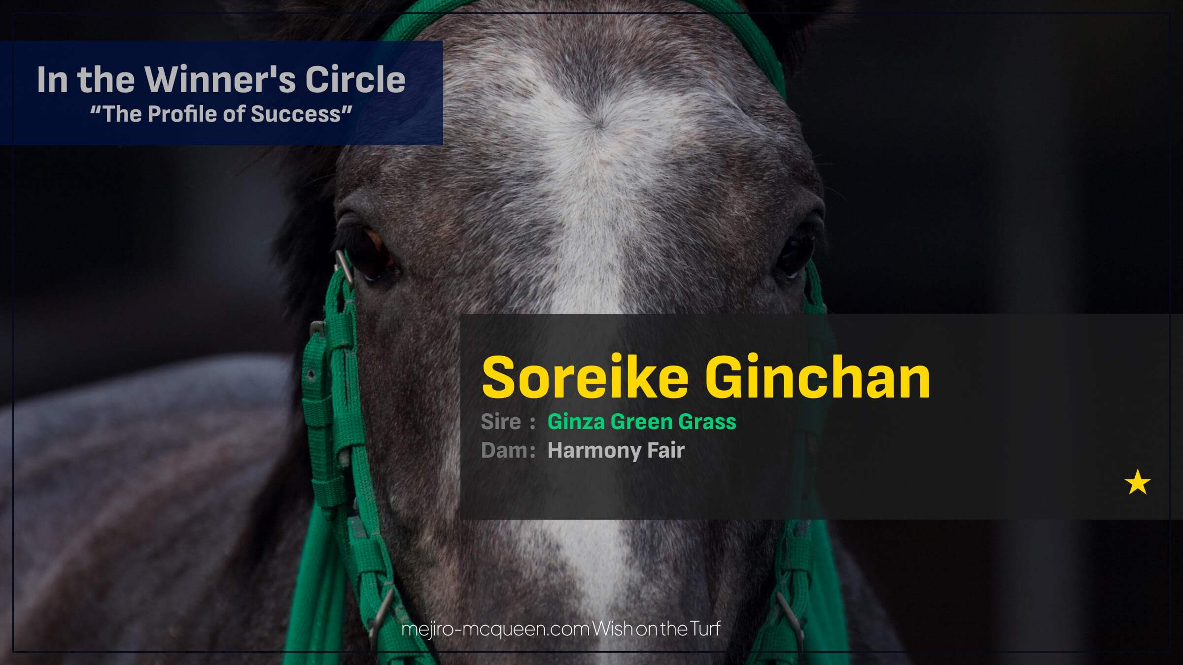 ソレイケギンチャン（ギンザグリングラス産駒）が地方転入初戦を制して嬉しい初勝利