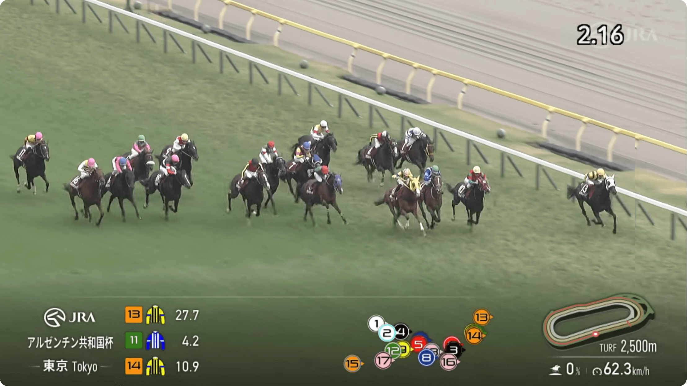 マイネルカンパーナ敗れるも差のない競馬で、この先の視界は良好(アルゼンチン共和国杯結果)