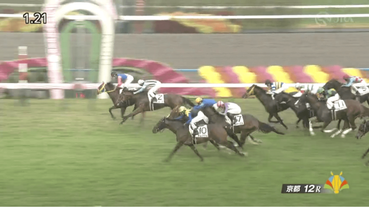 メイショウセイロウ(母アイコニック 母の父オルフェーヴル)がゴール前差し切り連勝で2勝目