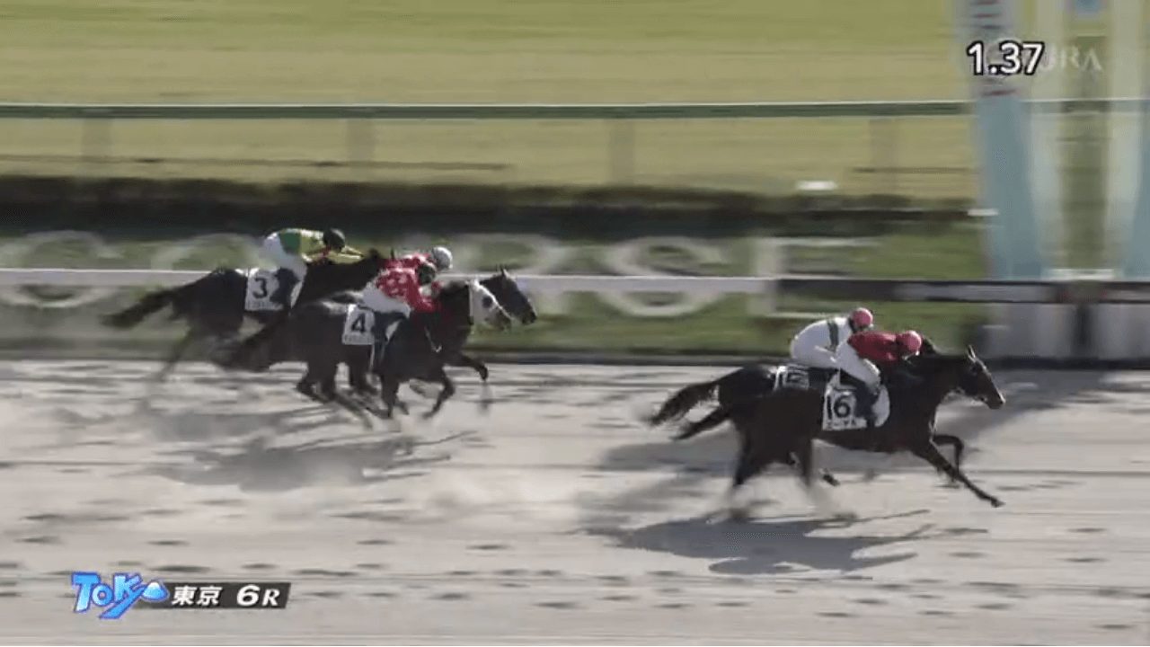 メジロマックイーンのひ孫2頭による競り合いはエーデル(母ブルザンインディゴ)に軍配