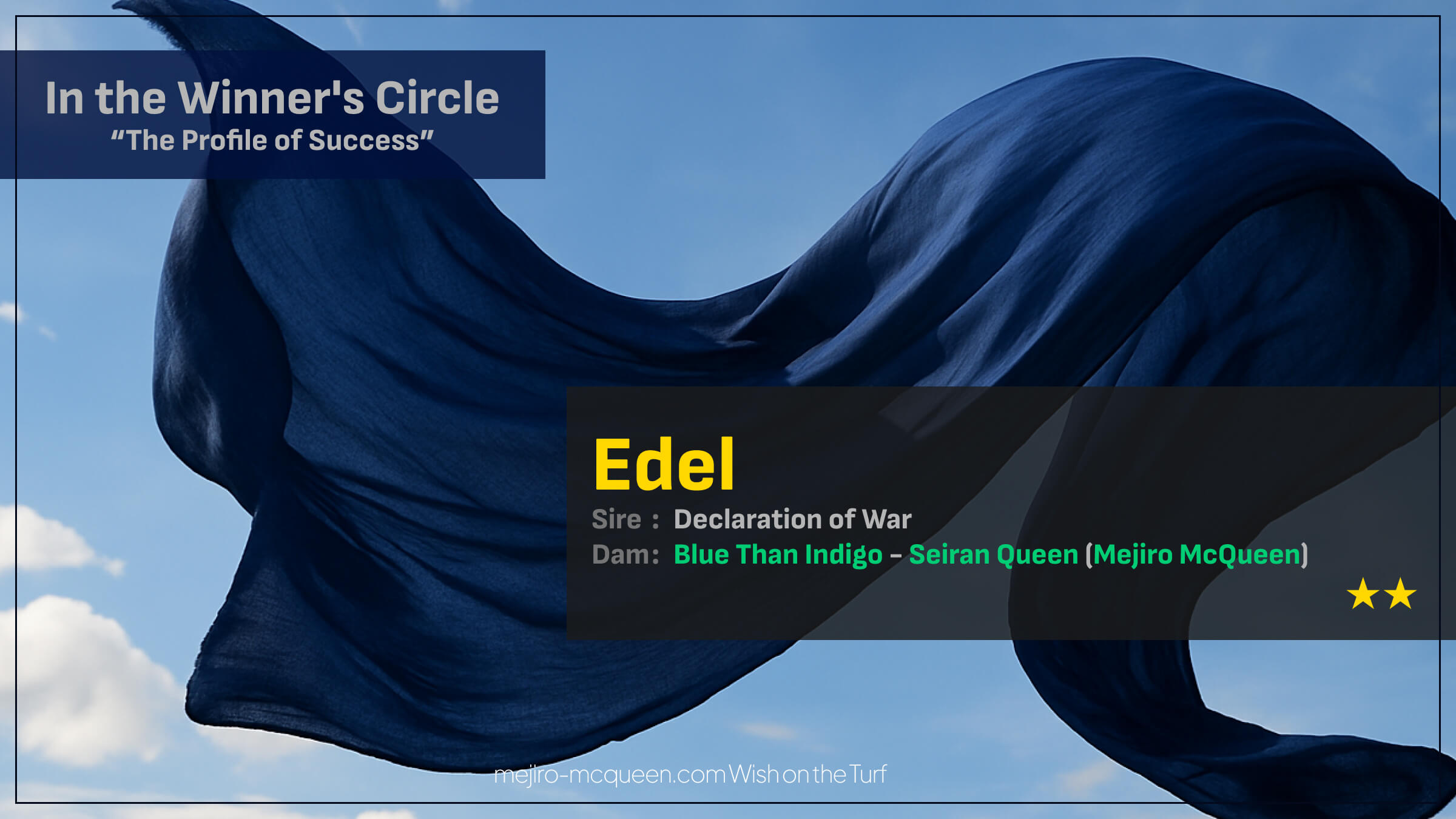 メジロマックイーンのひ孫2頭による競り合いはエーデル（母ブルザンインディゴ）に軍配