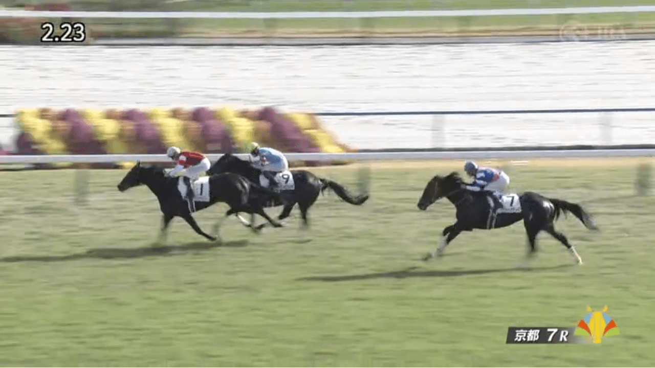 ウインデイジー(ゴールドシップ産駒)がゴール前の競り合い制して2勝目