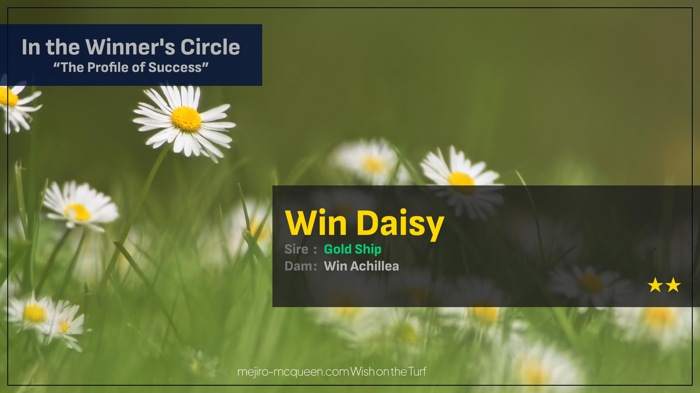 ウインデイジー（ゴールドシップ産駒）がゴール前の競り合い制して2勝目