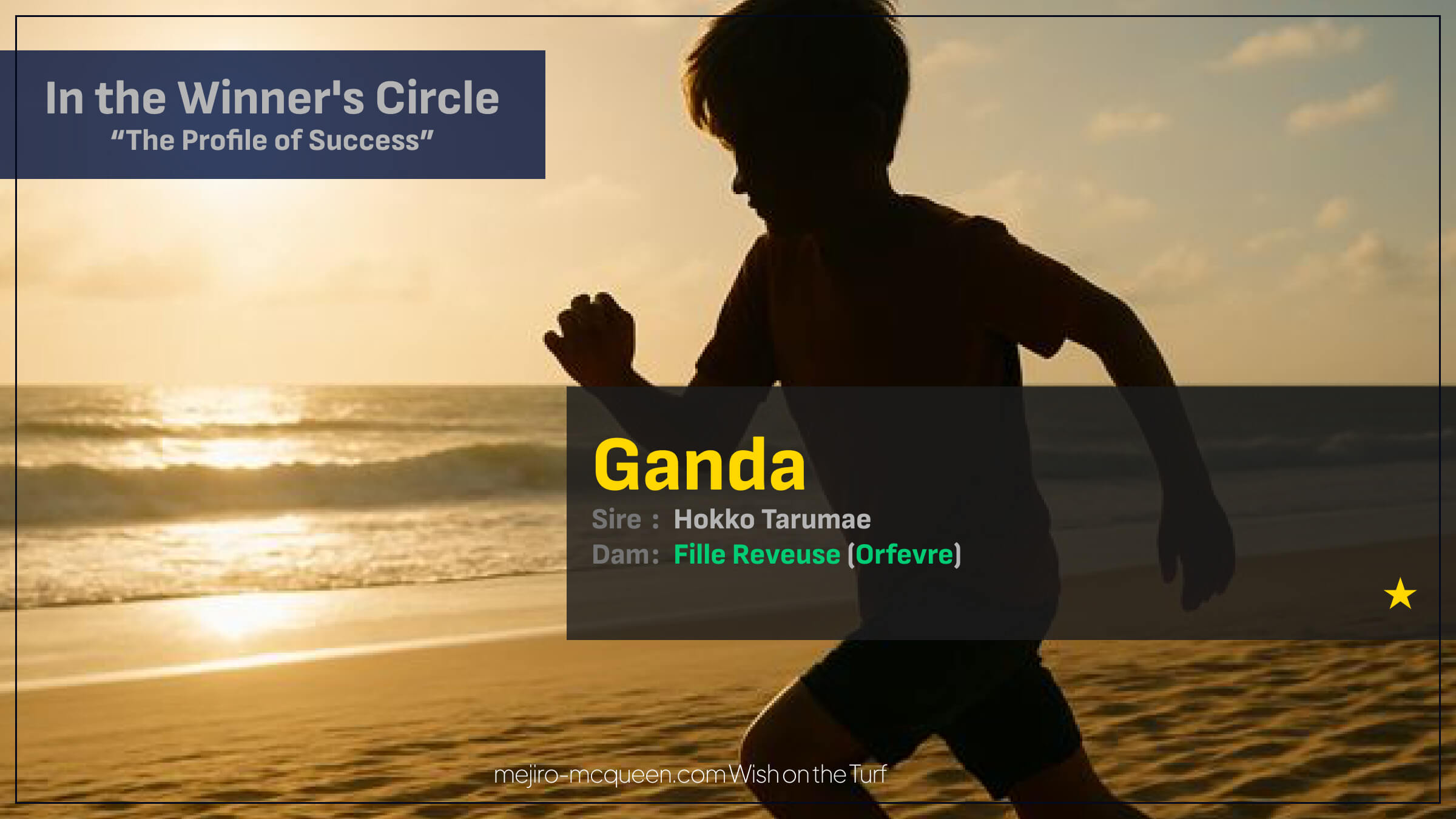 ガンダ（母フィーユレヴーズ　母の父オルフェーヴル）が逃げ切って初勝利