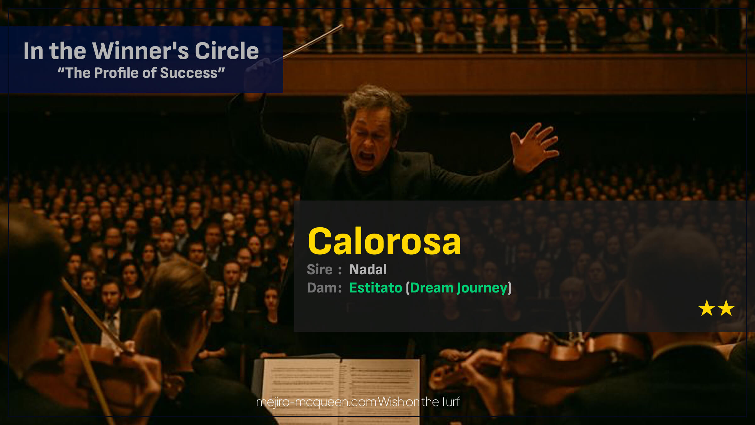 カロローザ（母エスティタート　母の父ドリームジャーニー）が後方から大外一気の末脚で差し切って2勝目