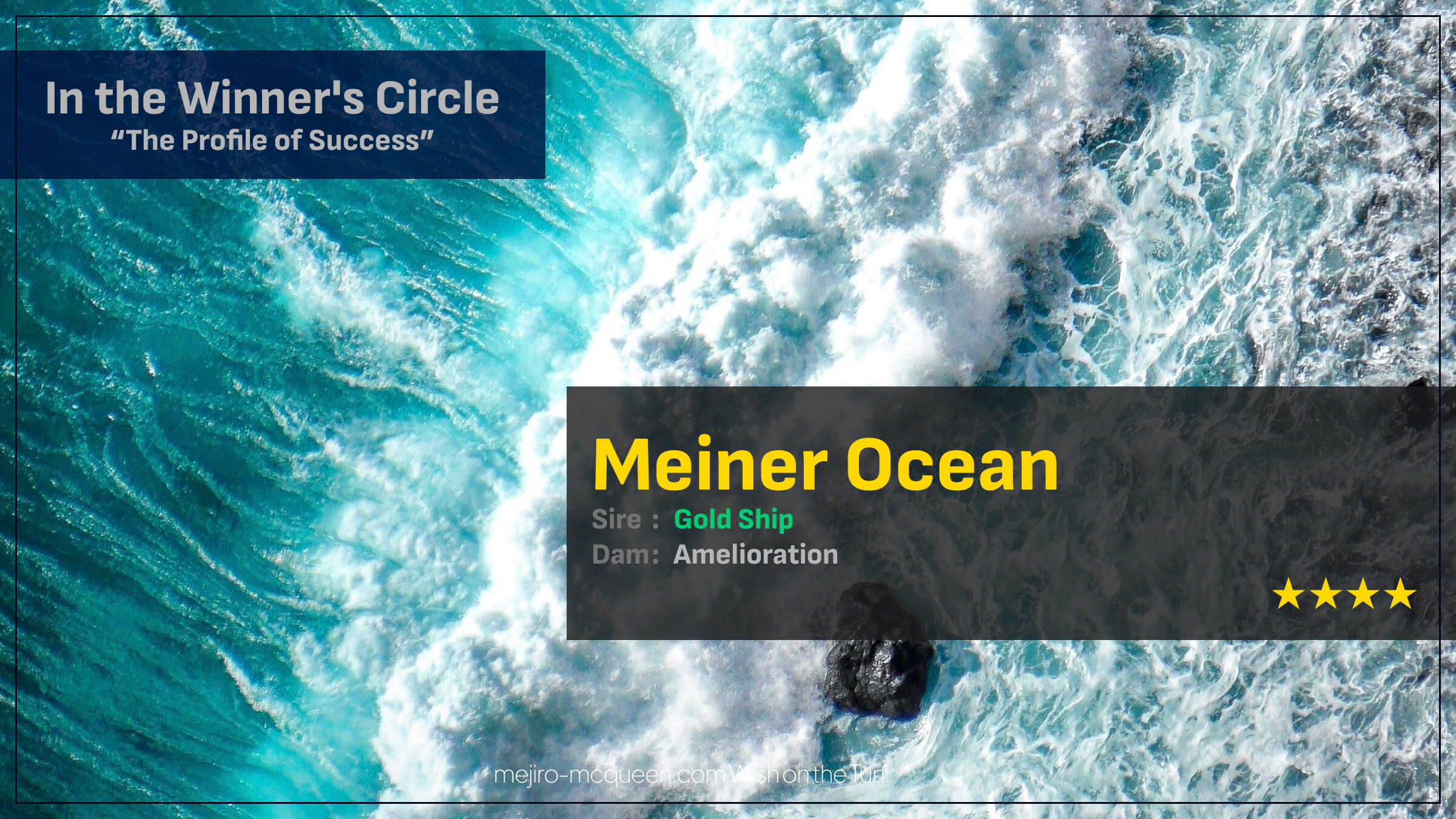 マイネルオーシャン（ゴールドシップ産駒）が低評価覆してオープン入り