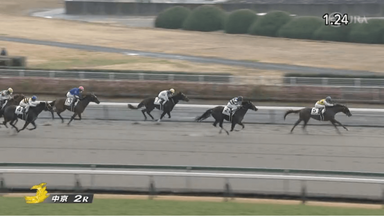 クラシオン(母マージェリー 母の父オルフェーヴル)がゴール前抜け出し初勝利