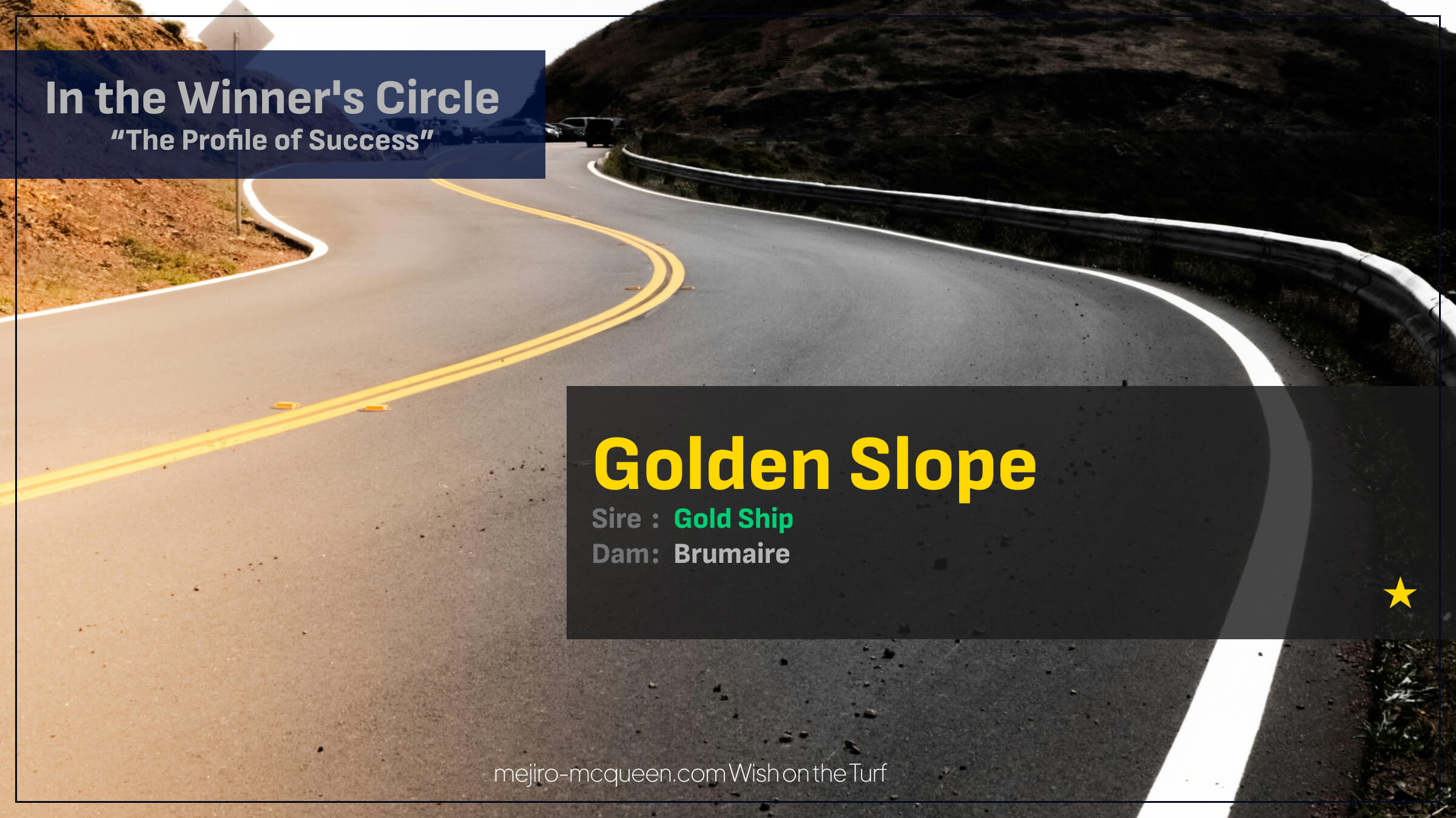 ゴールデンスロープ（ゴールドシップ産駒）が、ジャンプレースを逃げ切ってデビュー16戦目で待望の初勝利