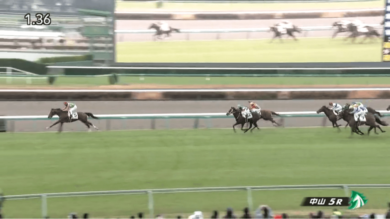 ジーティーシンドウ（オルフェーヴル産駒）が「神童」ぶりを見せつける圧勝でデビュー戦を勝利