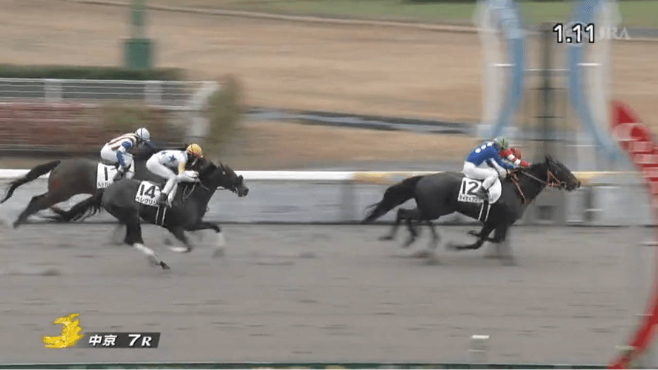 エメラヴィ（オルフェーヴル産駒）が直線の競り合いを最後まで譲らず復活の2勝目