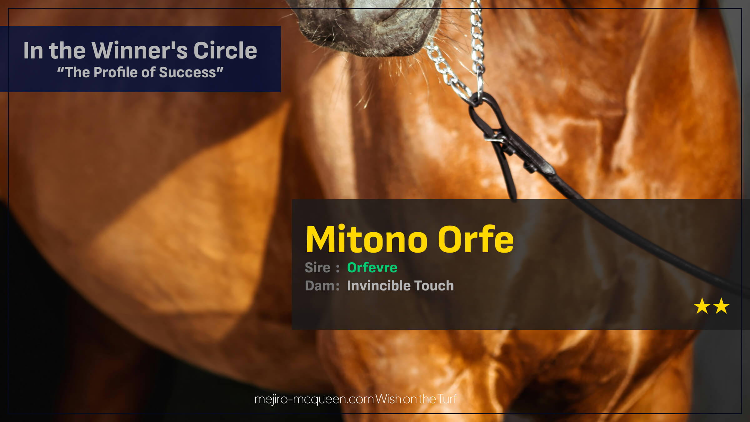 ミトノオルフェ（オルフェーヴル産駒）がゴール前の大接戦を制して2勝目