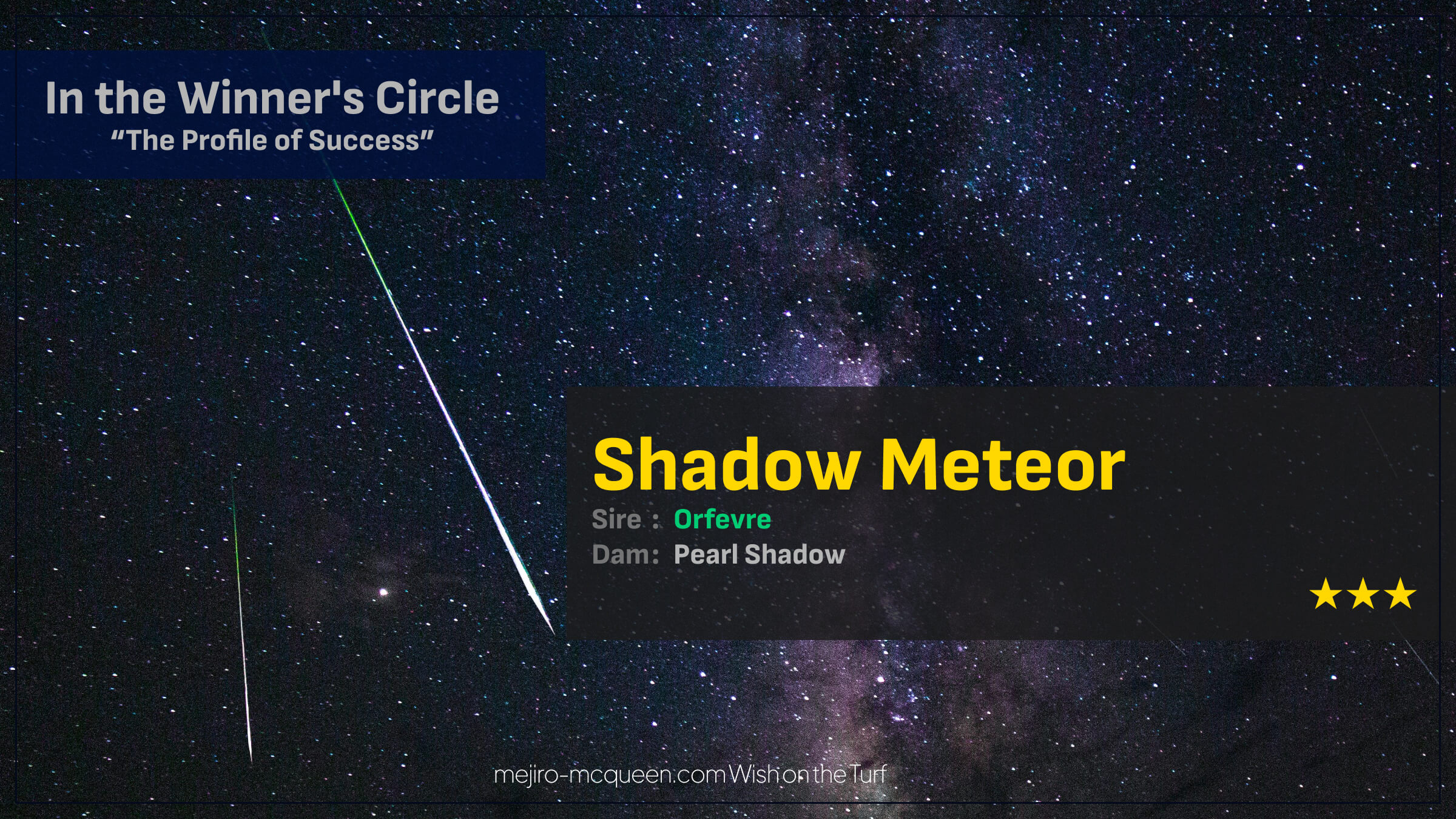 シャドウメテオ（オルフェーヴル産駒）がゴール前綺麗に差し切り3連勝