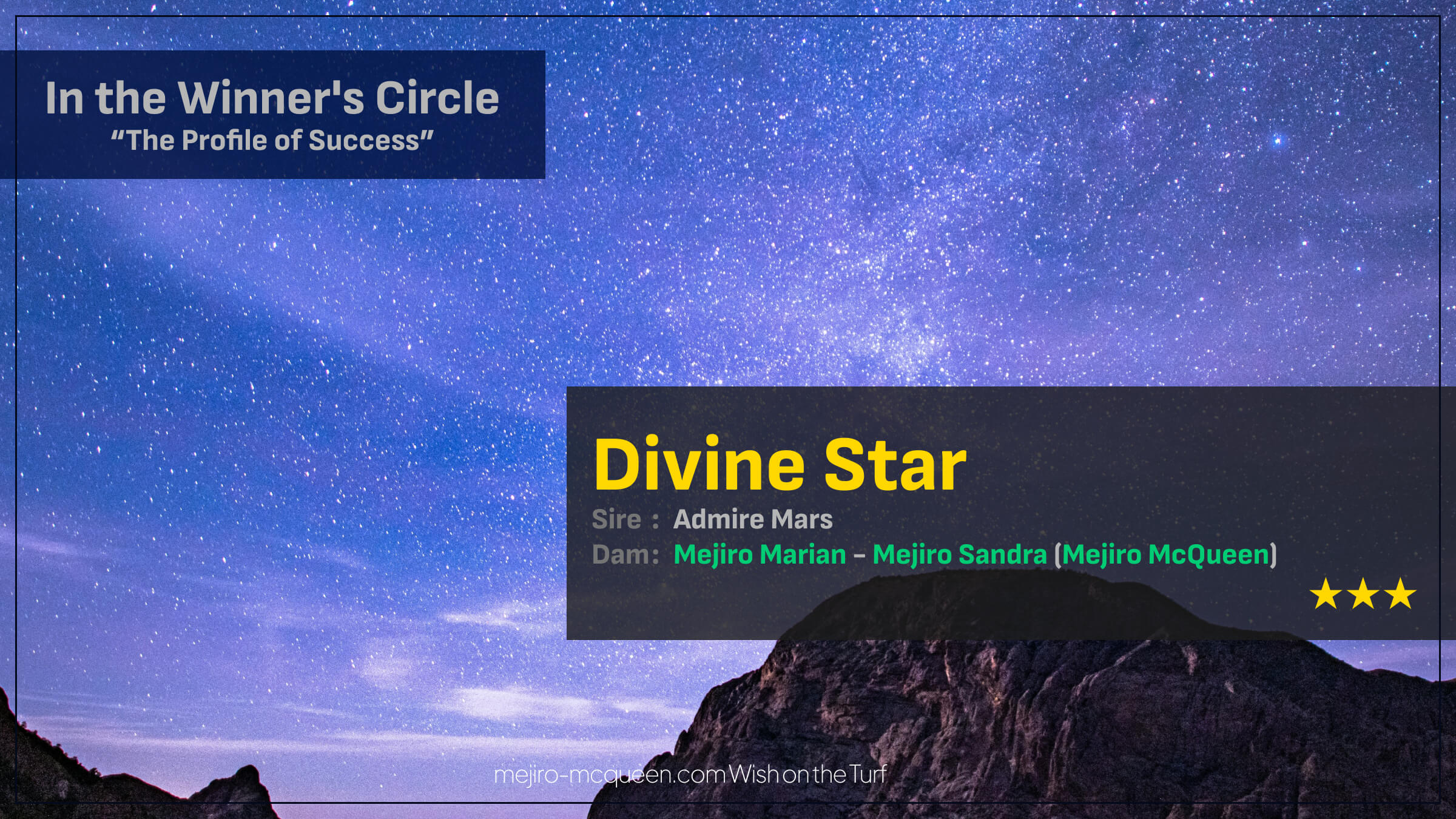 ディヴァインスター（母メジロマリアン　母母父メジロマックイーン）が早め先頭から押し切って連勝で3勝目