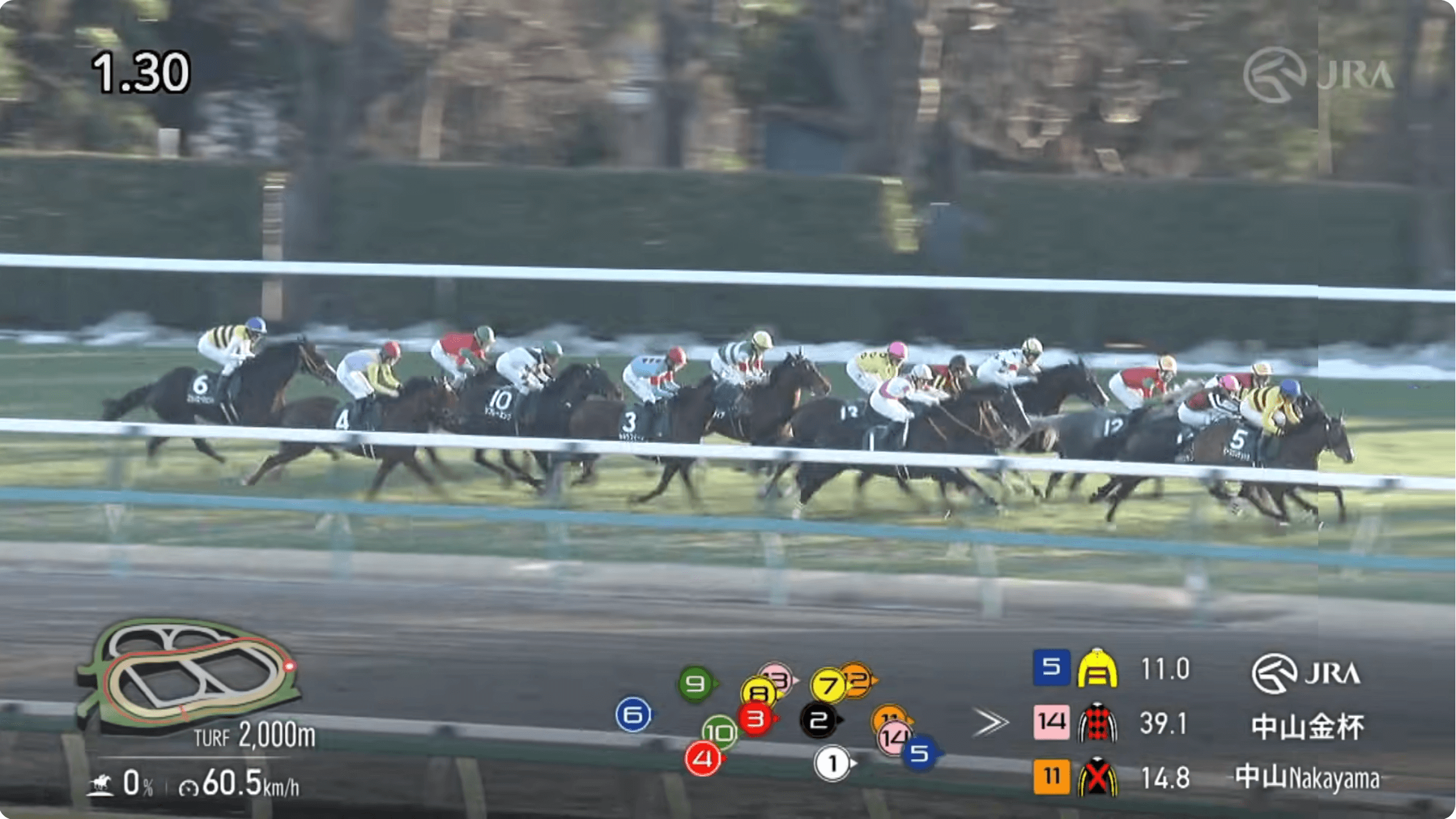 金杯で乾杯とはいかず(中山金杯結果)