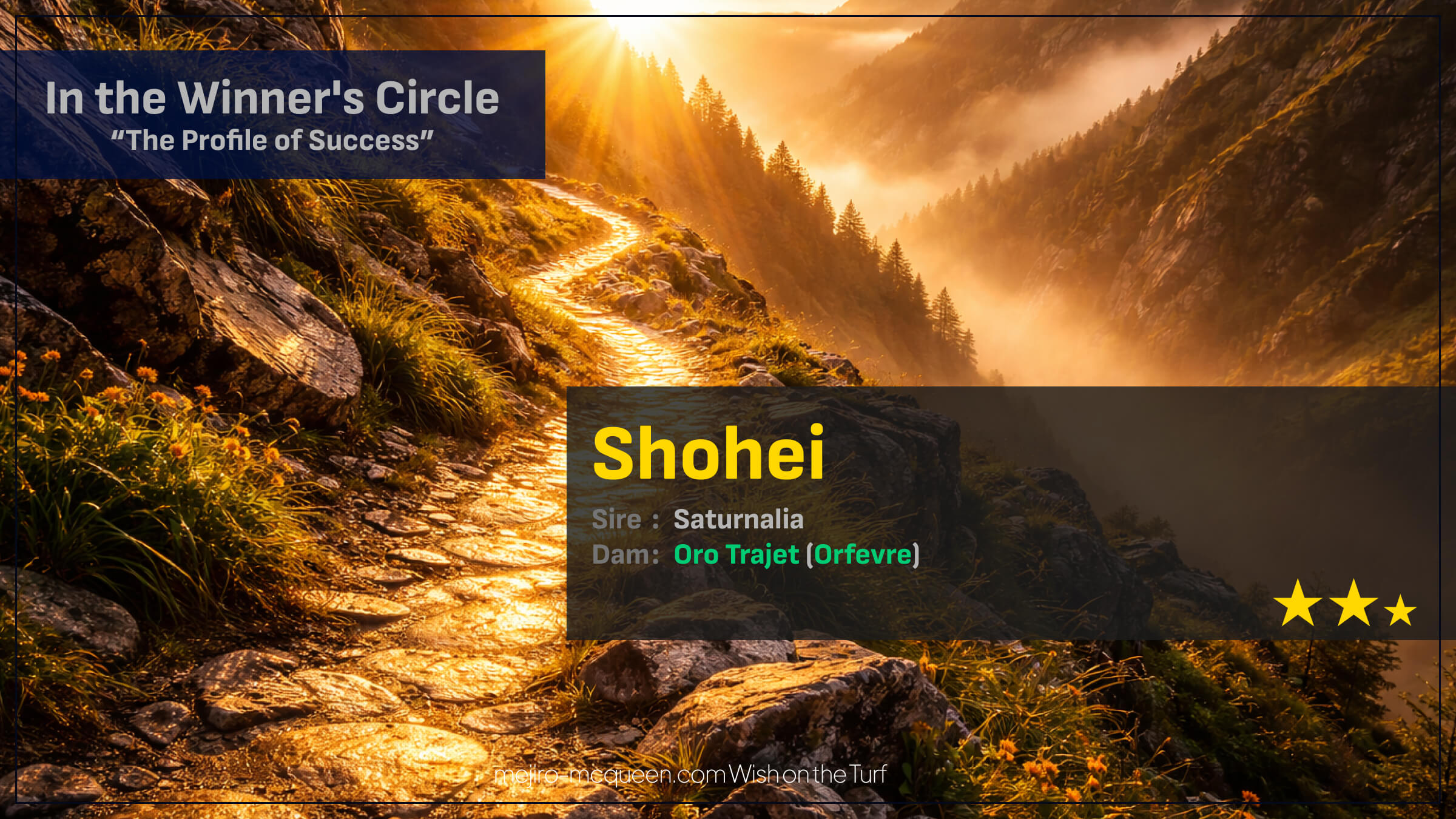 ショウヘイ、完勝でさぁG1獲りの1年が始まる（AJCC結果）