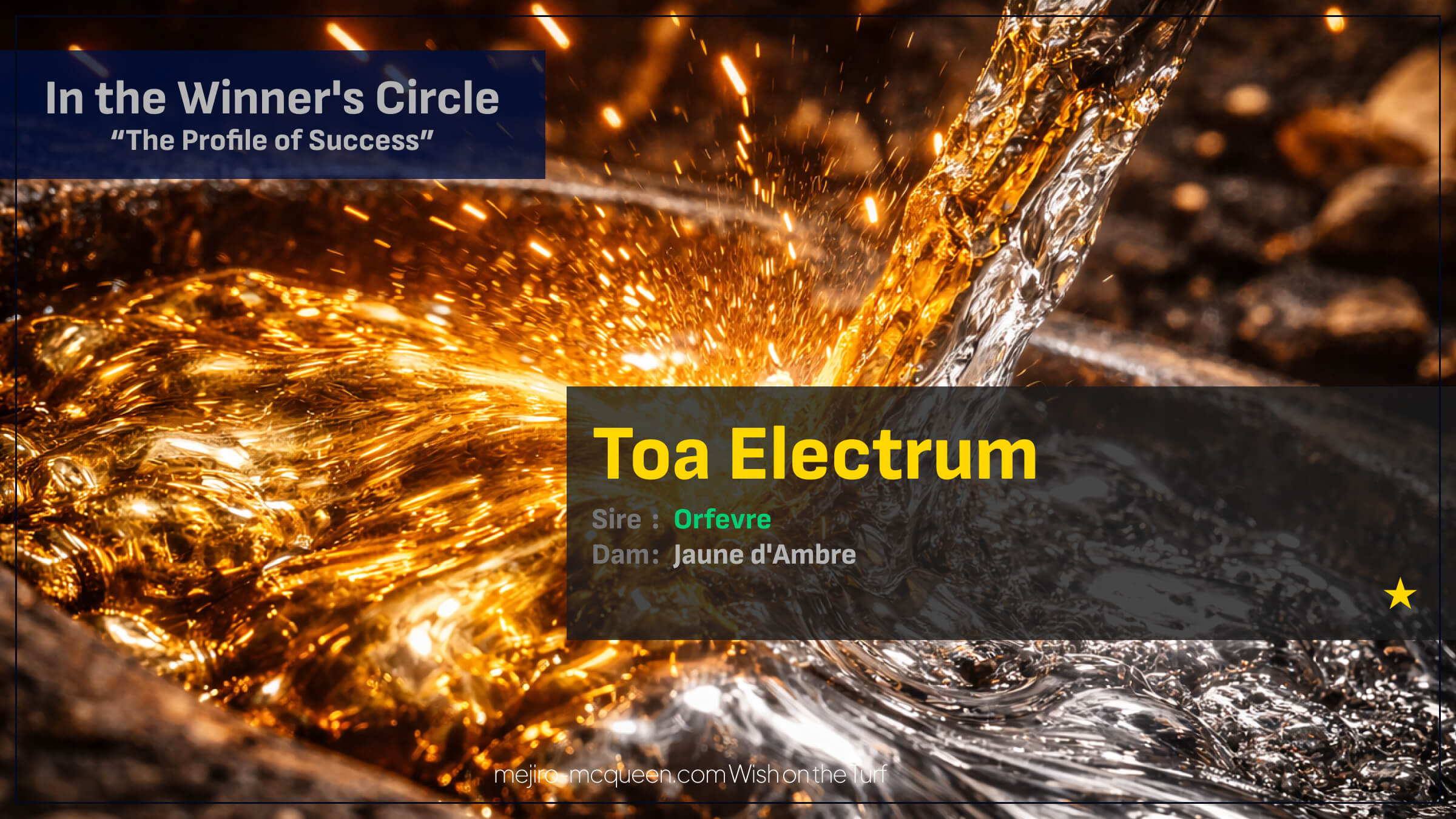 トーアエレクトラム（オルフェーヴル産駒）がゴール前突き抜け新馬勝ち