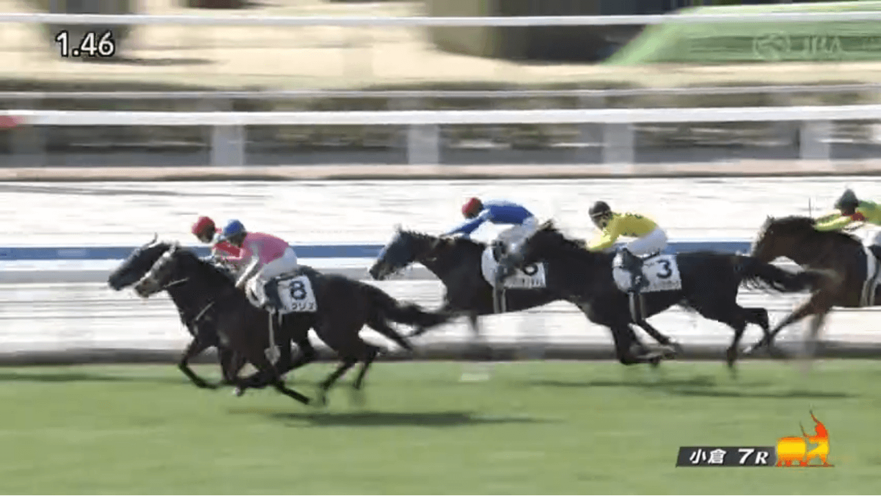 アイドクレース（母ビジュティエ　母の父オルフェーヴル）がゴール前の競り合い制して初勝利