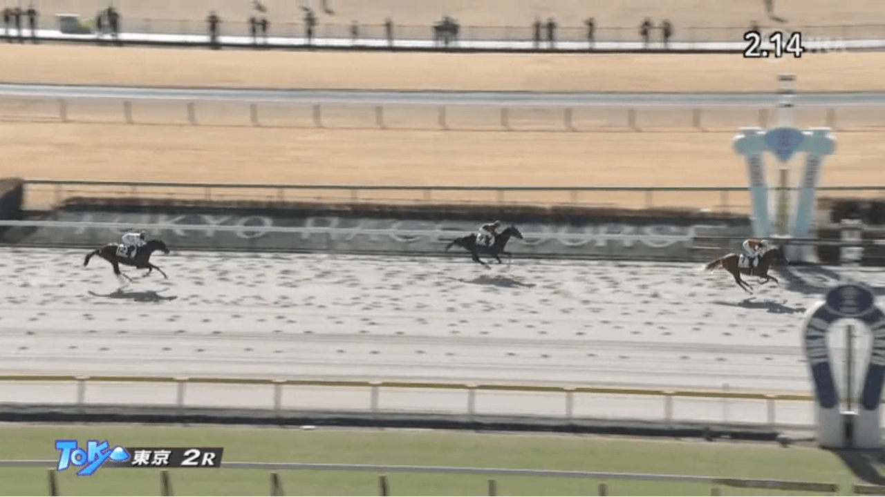 オルブライト（オルフェーヴル産駒）が直線外から力強く差し切り圧勝で初勝利