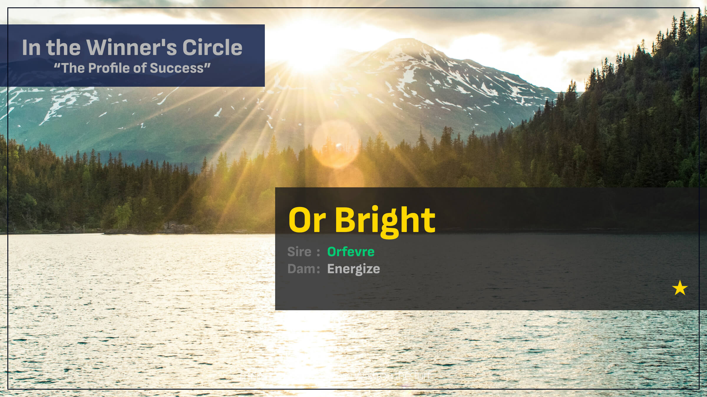 オルブライト（オルフェーヴル産駒）が直線外から力強く差し切り圧勝で初勝利