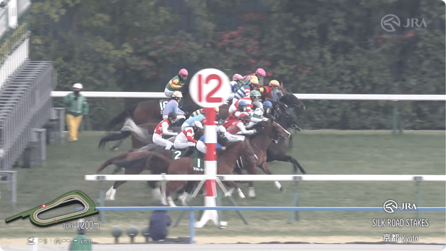 エコロレジーナはまたも大きく出遅れ残念な結果に（シルクロードステークス結果）