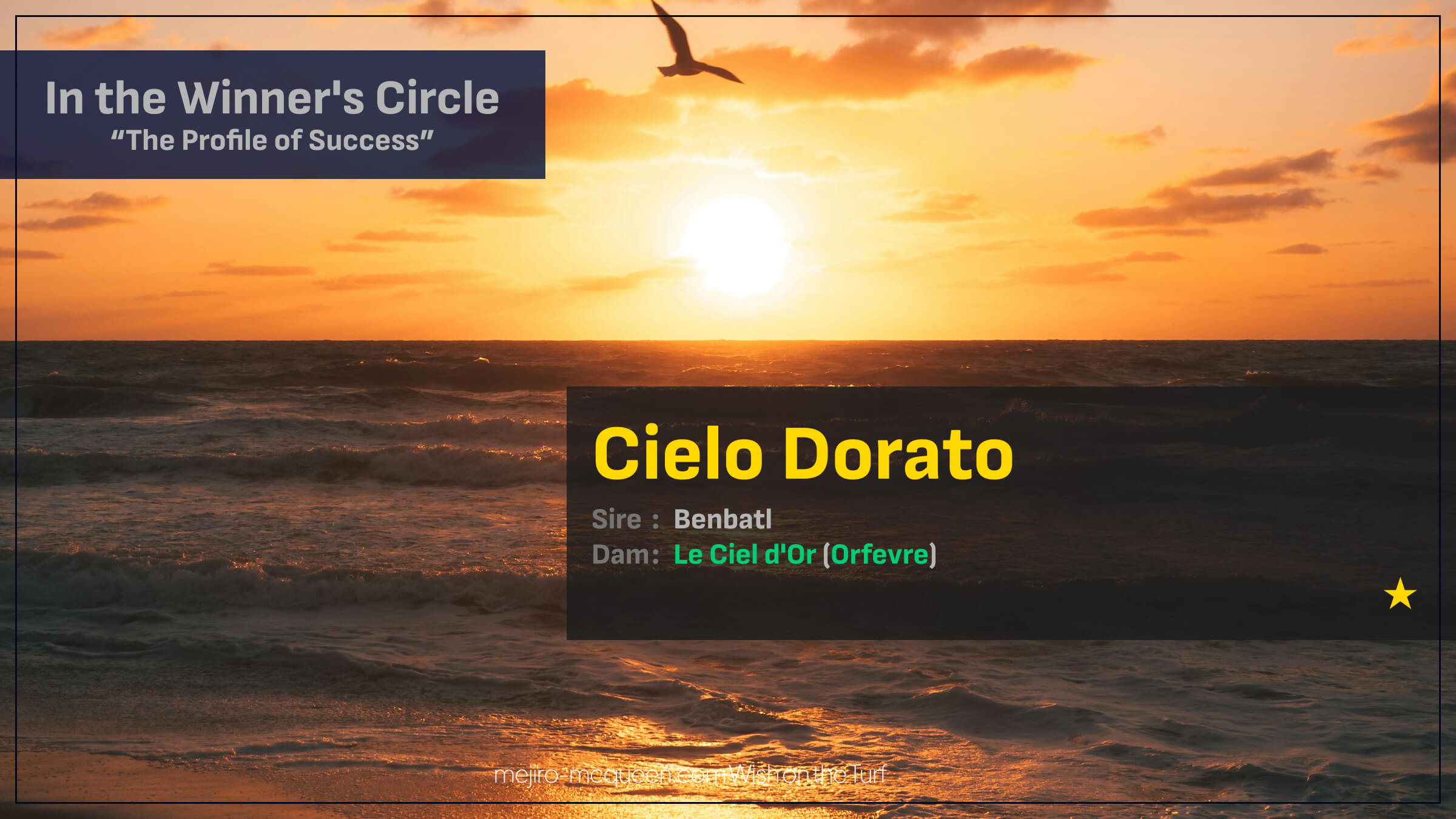 シェーロドラート（母ルシェルドール　母の父オルフェーヴル）がゴール前抜け出し初勝利