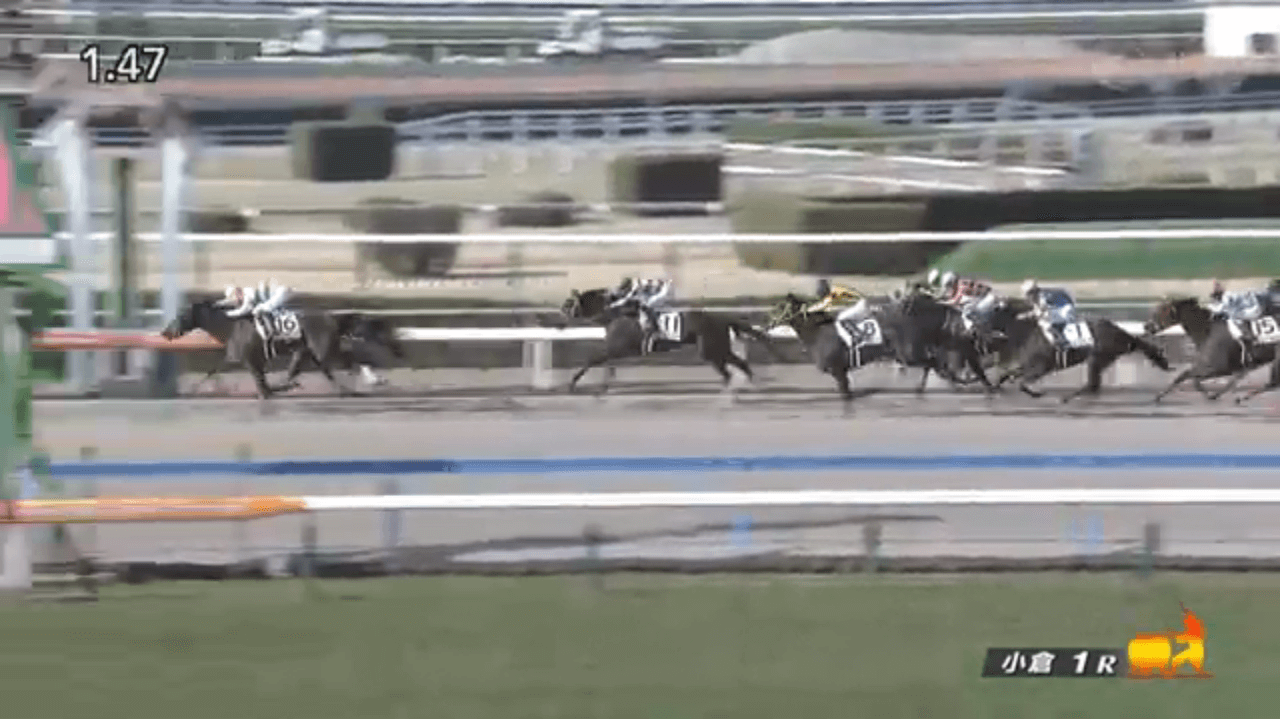 ペンダント（父オルフェーヴル）がゴール前際どく差し切って初勝利