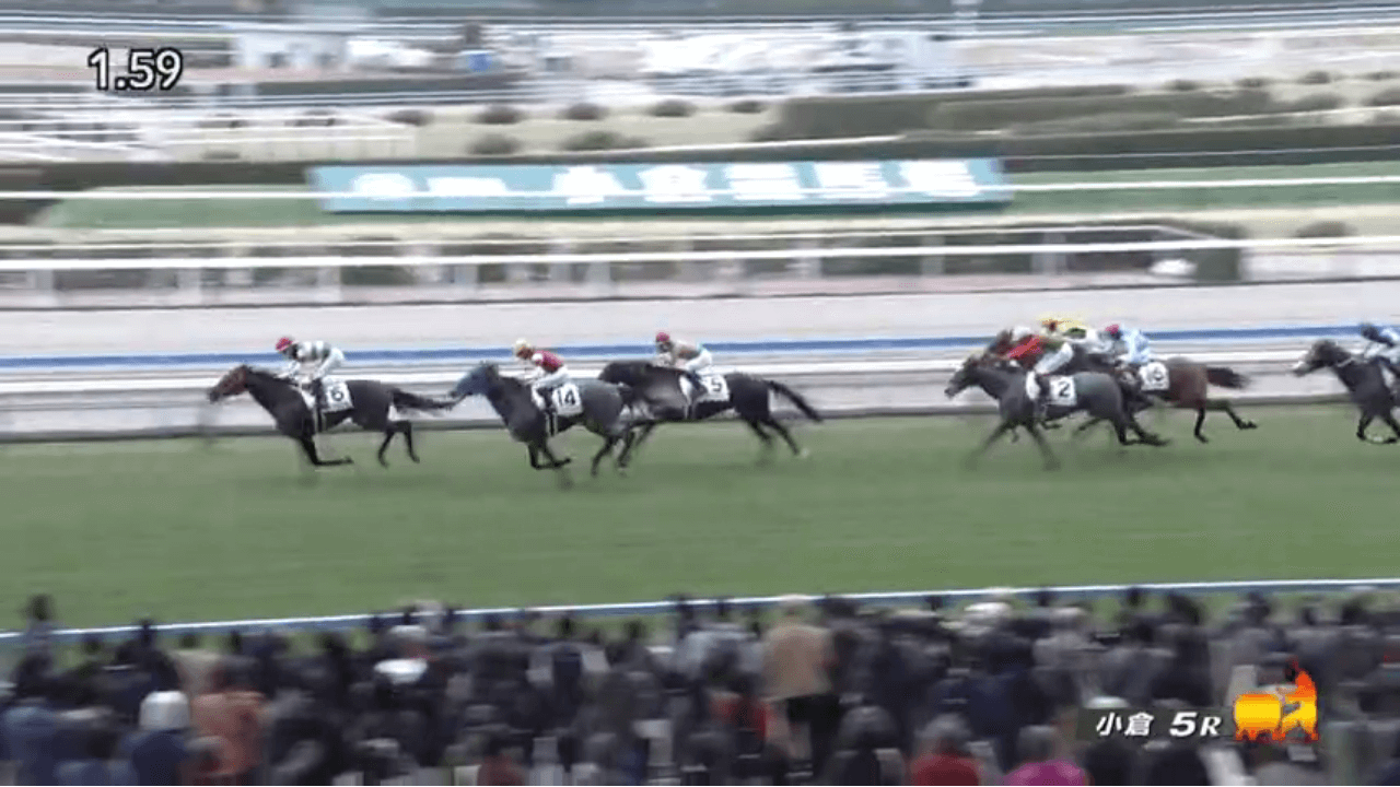 ノンブルドール（母オーロトラジェ　母の父オルフェーヴル）が直線抜け出し初勝利