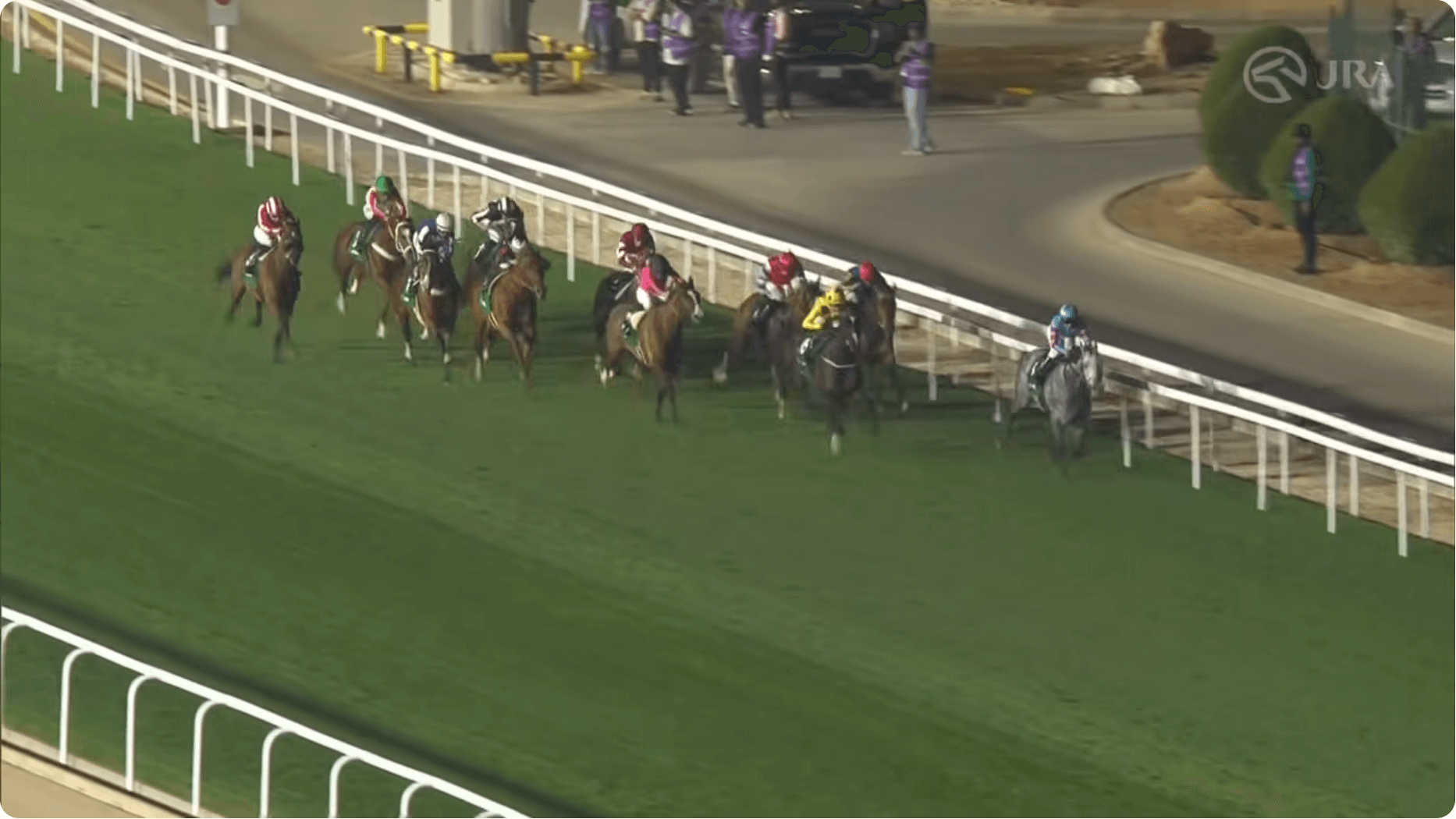 アロヒアリイとヴェルミセルのサウジ遠征は共に結果出せず