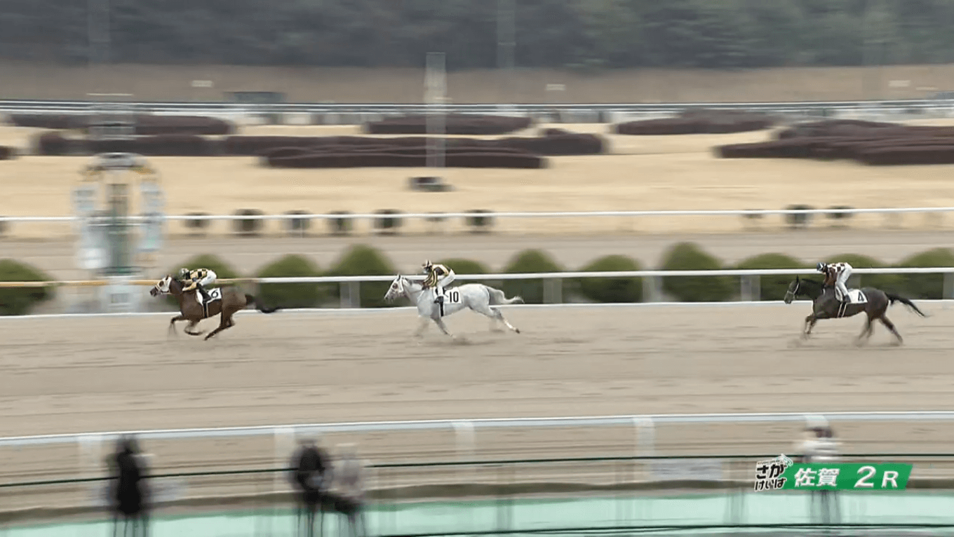 ソレイケギンチャン(ギンザグリングラス産駒)が楽々逃げ切り2勝目