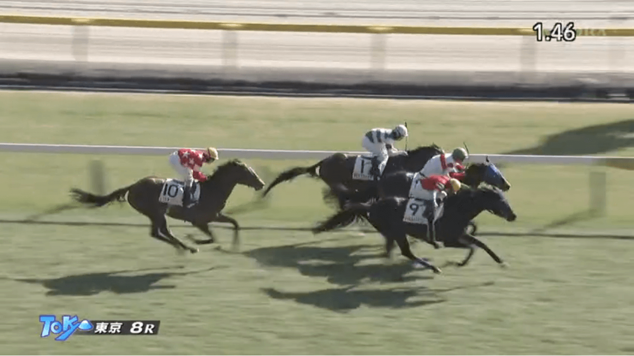 マイネルトルファン(オルフェーヴル産駒)が3年6ヶ月ぶりの勝利で3勝目