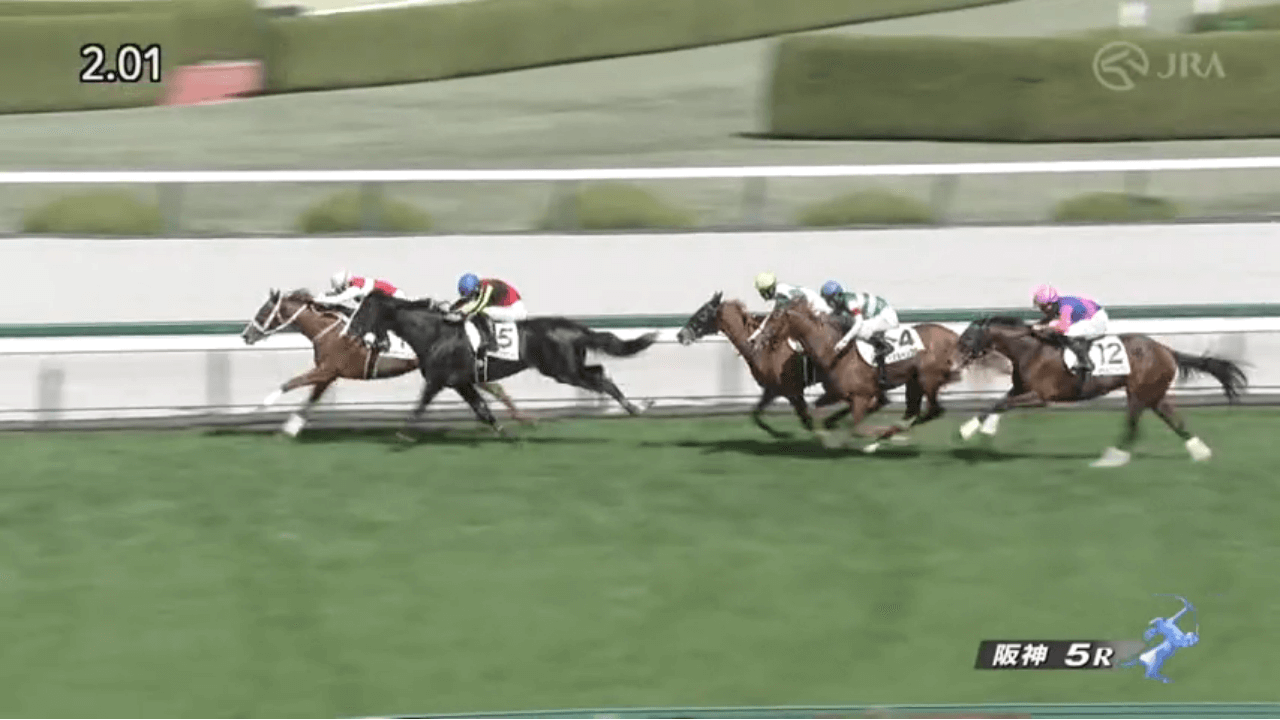 ショウナンバンライ（オルフェーヴル産駒）が最内から競り合い制して初勝利