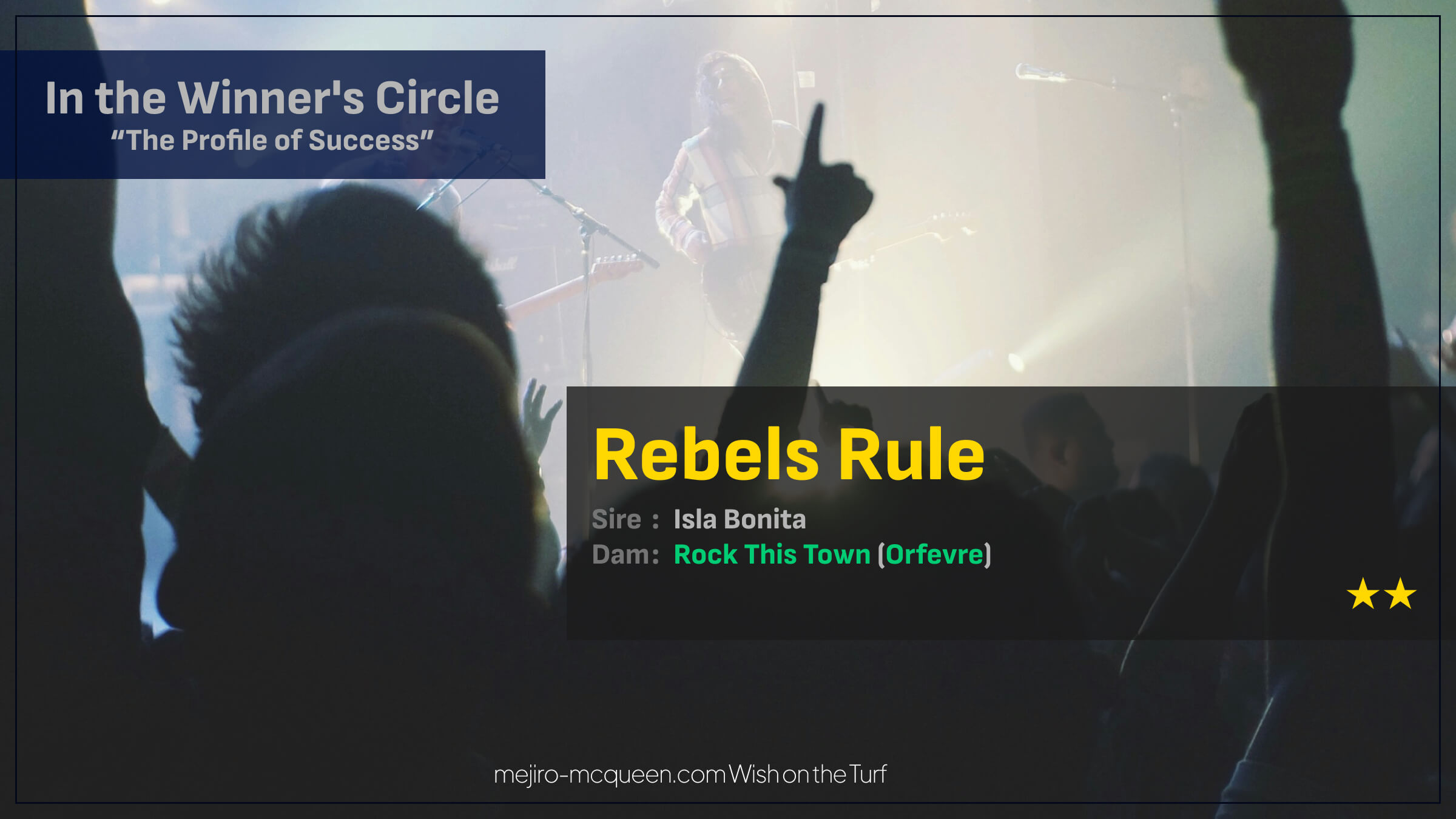 レベルスルール（母ロックディスタウン　母の父オルフェーヴル）がゴール前抜け出し2勝目