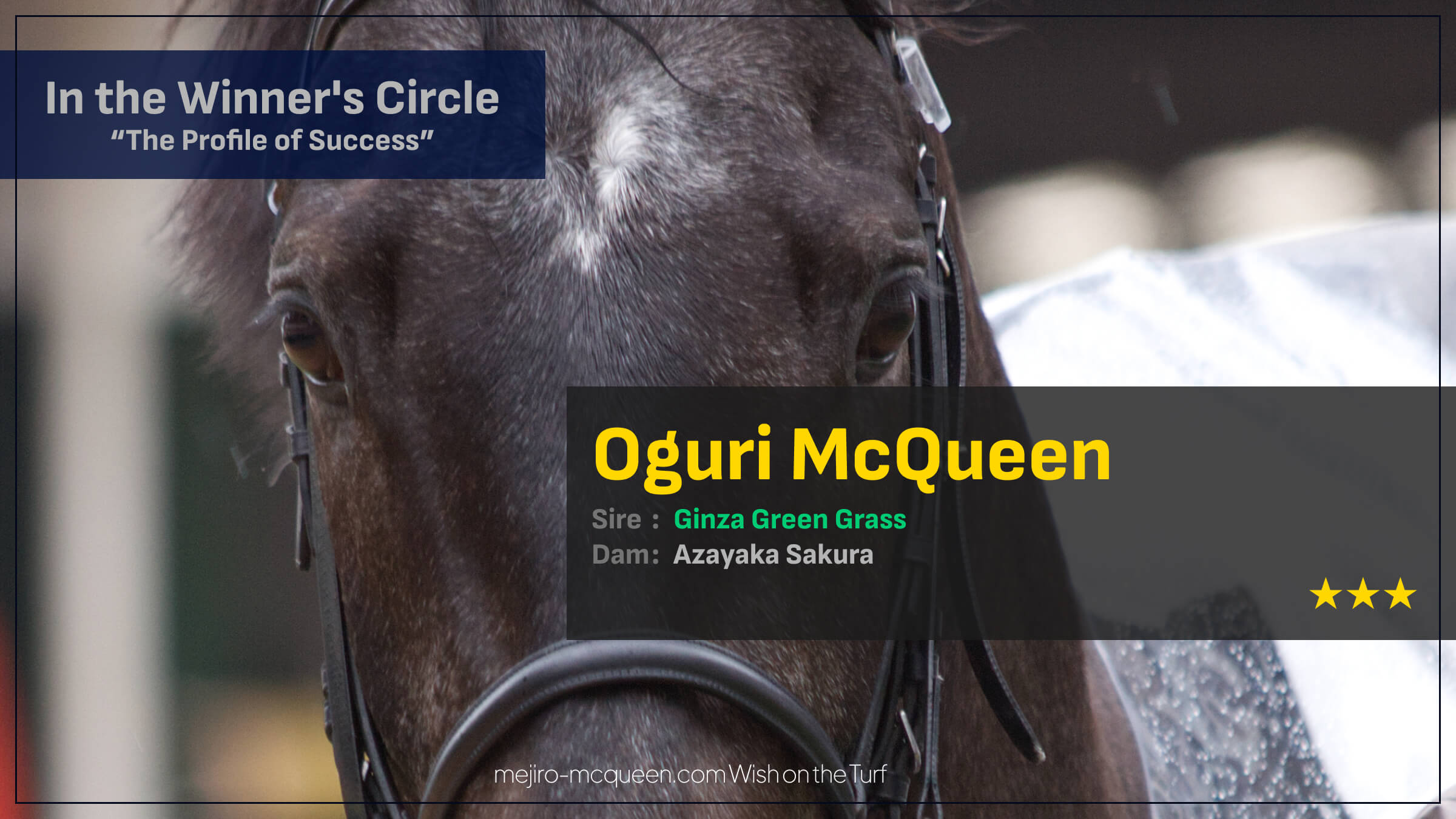 オグリマックイーン（ギンザグリングラス産駒）が接戦制して3勝目