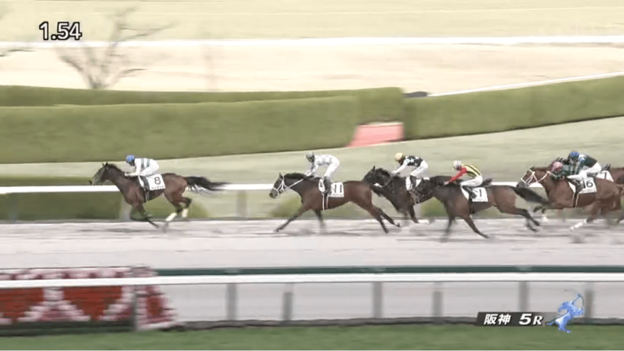 ペンダント（オルフェーヴル産駒）が自身の誕生日を勝利で飾って2連勝