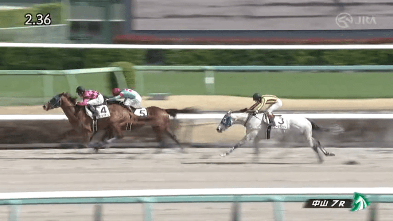 スマートクオーレ（オルフェーヴル産駒）が追われて追われてしぶとく脚を伸ばしてゴール前差し切り2勝目