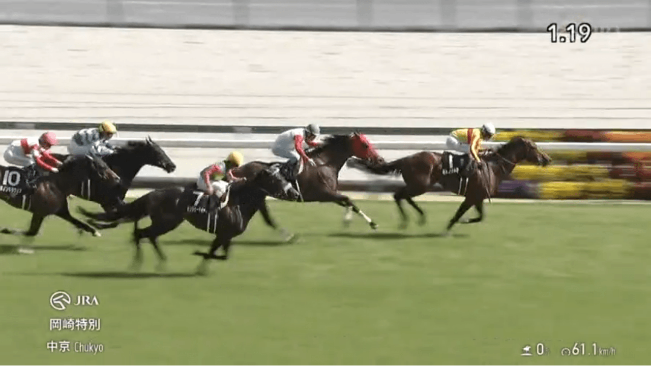 ミトノオルフェ（オルフェーヴル産駒）が出遅れ、直線前壁、何のそので突き抜け3勝目