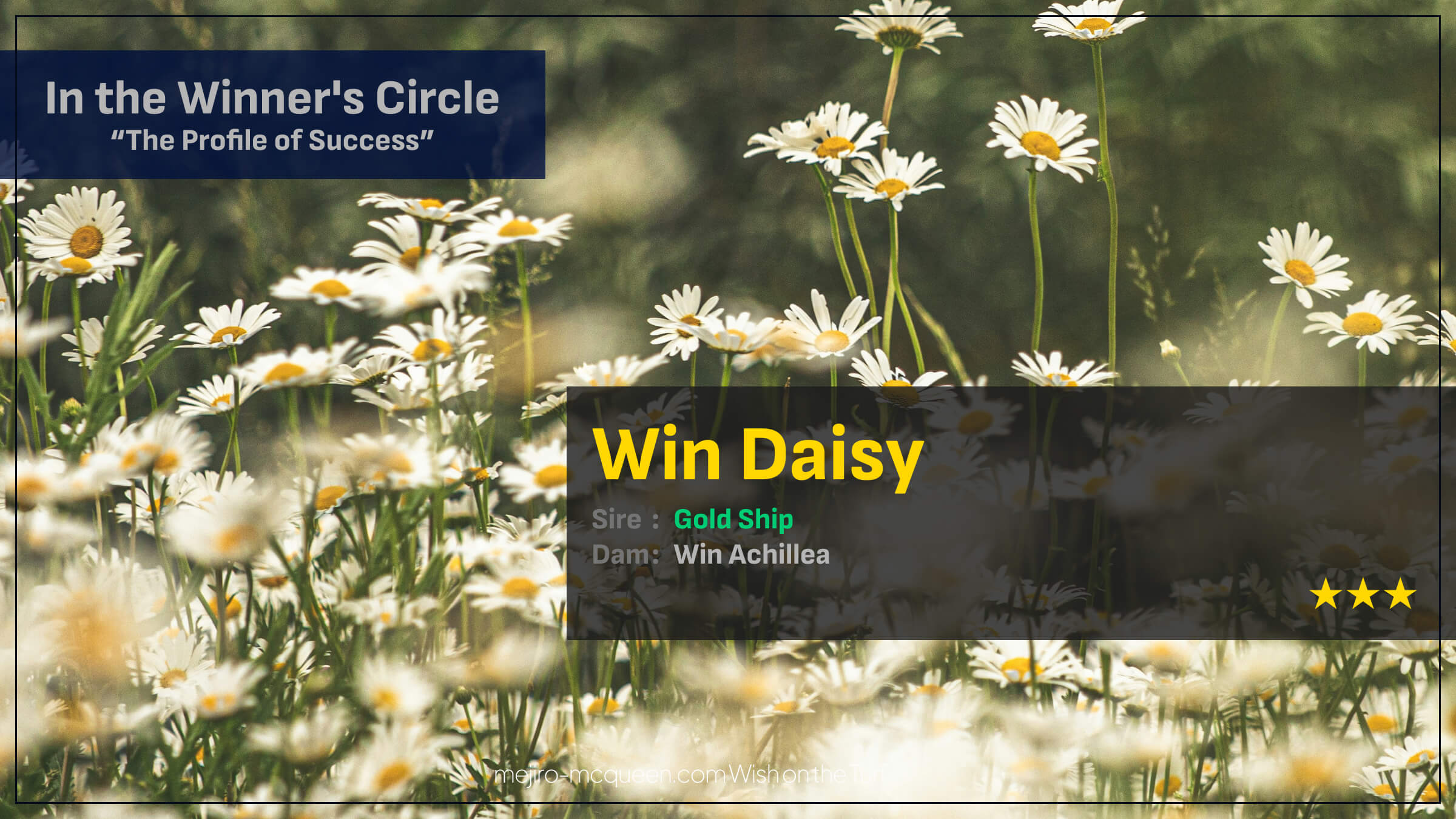 ウインデイジー（ゴールドシップ産駒）が大接戦制して3勝目