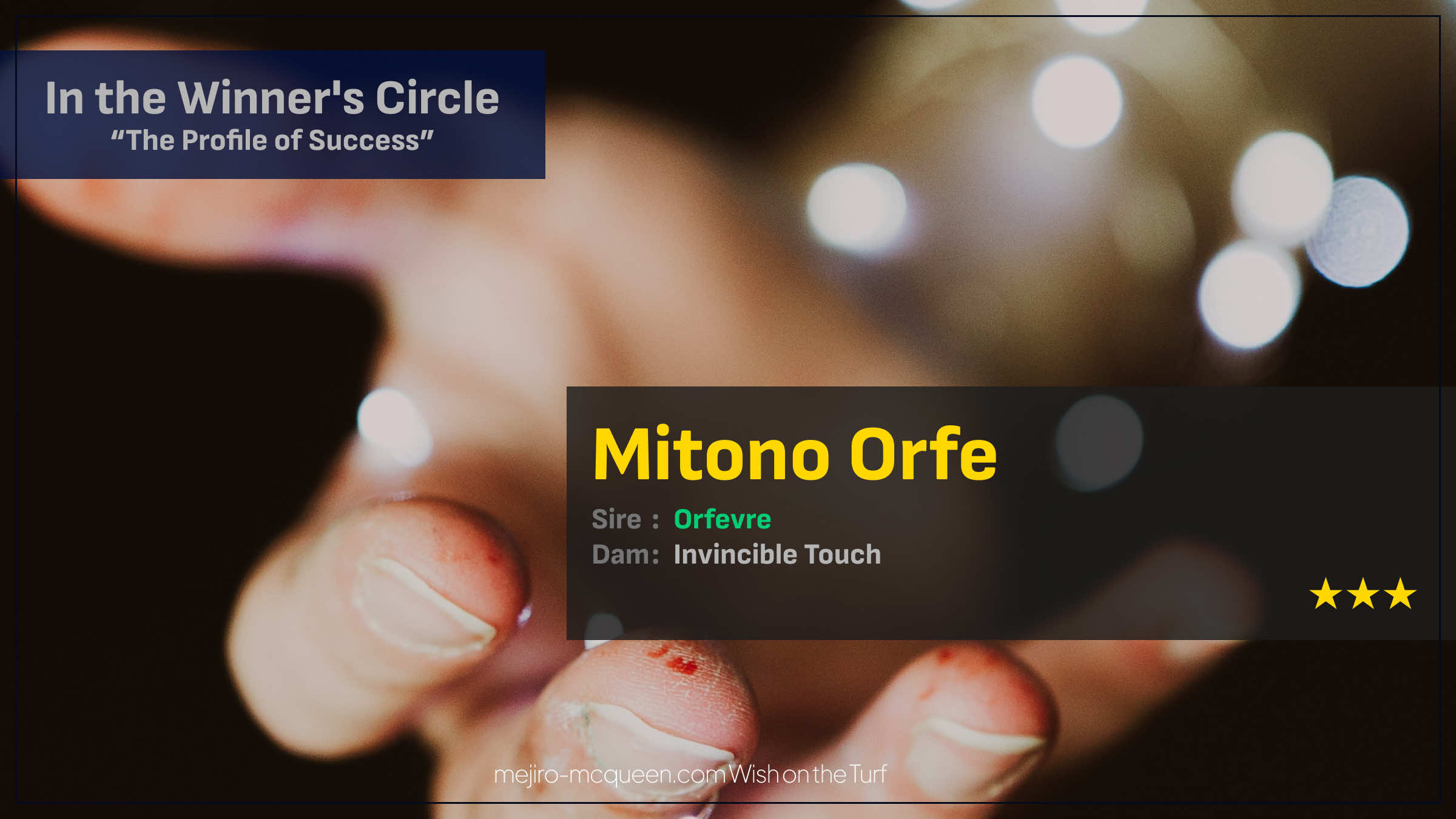 ミトノオルフェ（オルフェーヴル産駒）が出遅れ、直線前壁、何のそので突き抜け3勝目